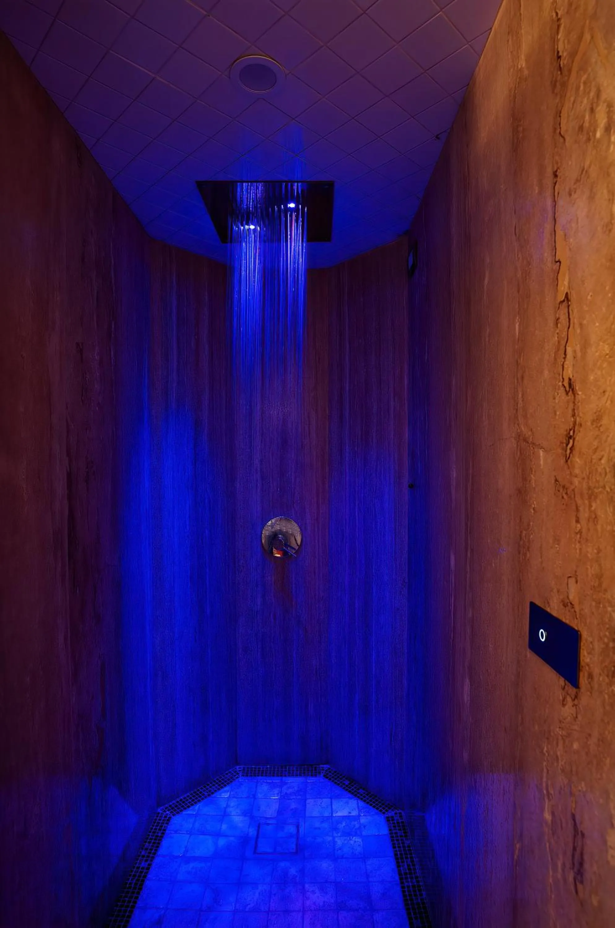 Spa and wellness centre/facilities in Hotel Villa Franca