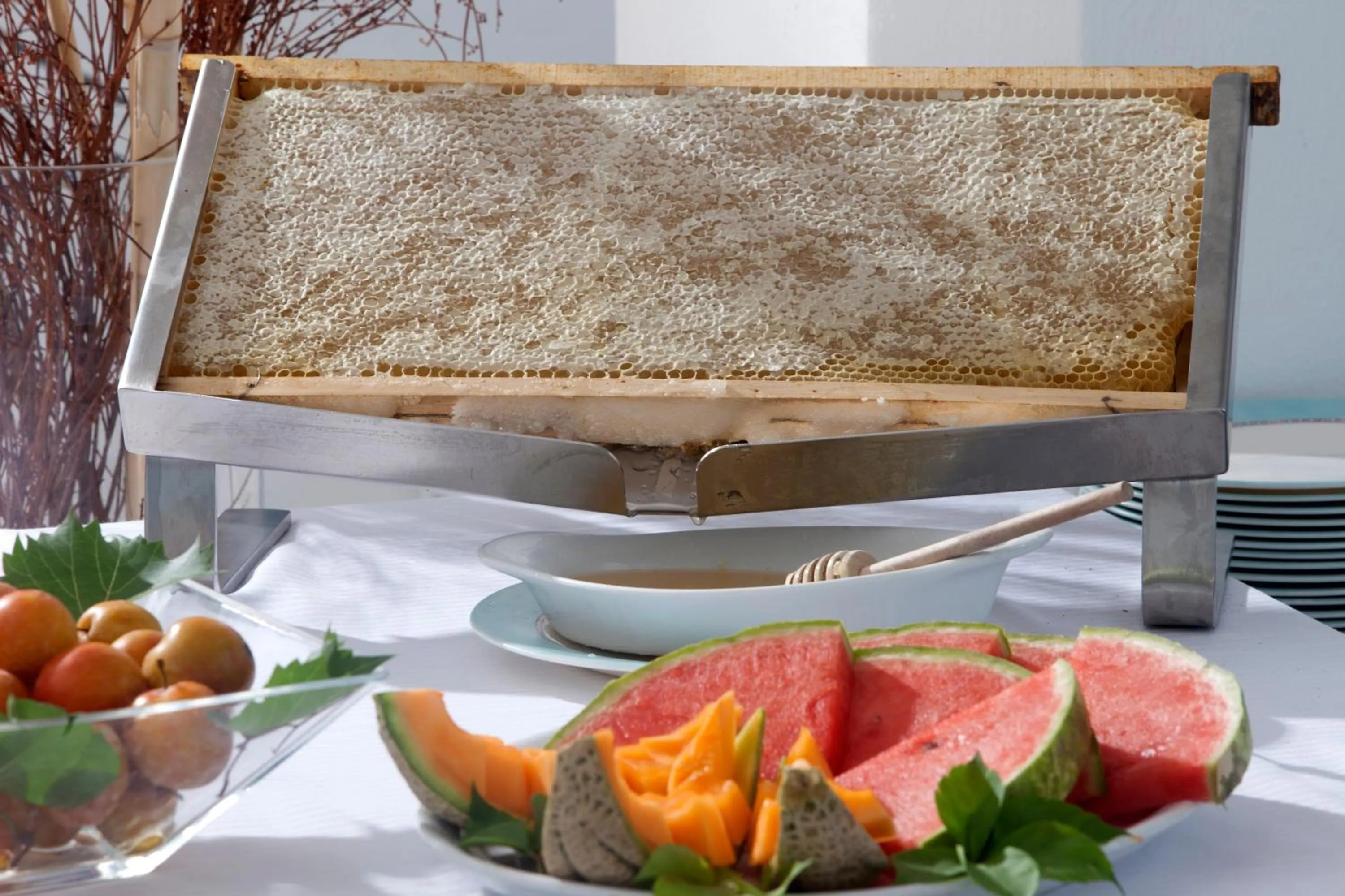 Food and drinks in Hotel La Caletta