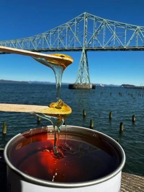 Spa and wellness centre/facilities in Cannery Pier Hotel & Spa