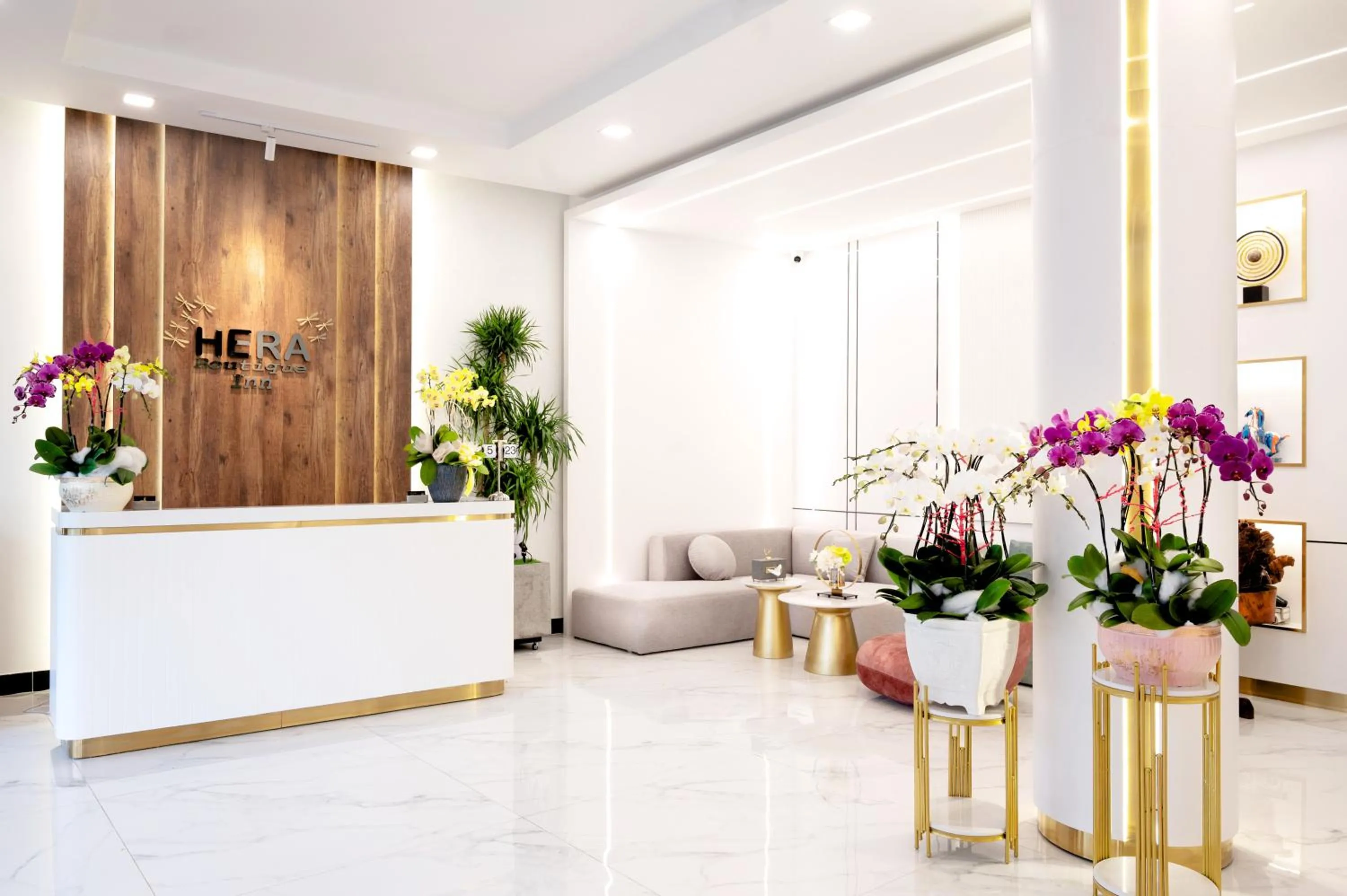 Lobby or reception in HERA HOSTEL