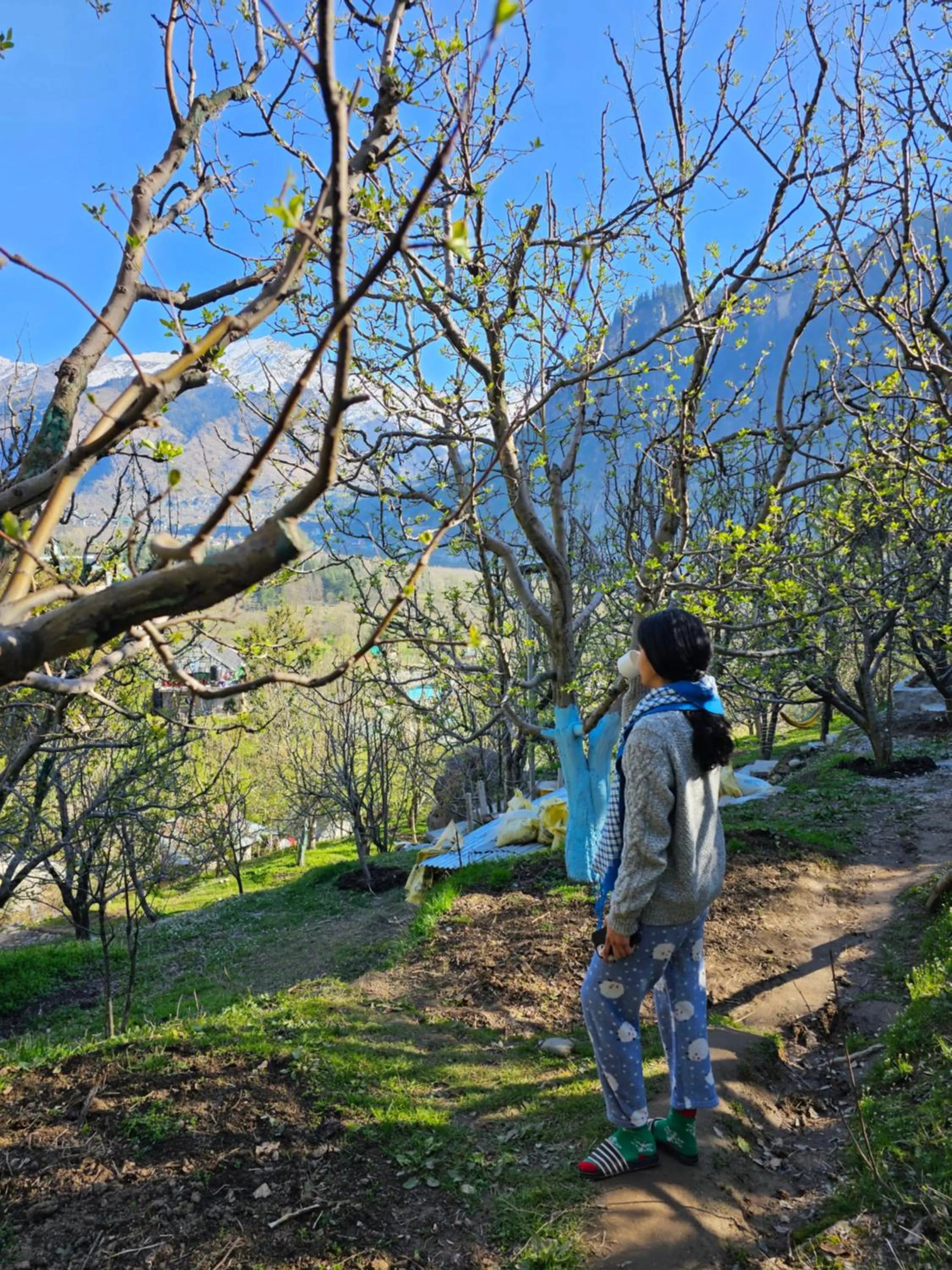 Restaurant/places to eat in La Heim Hostels