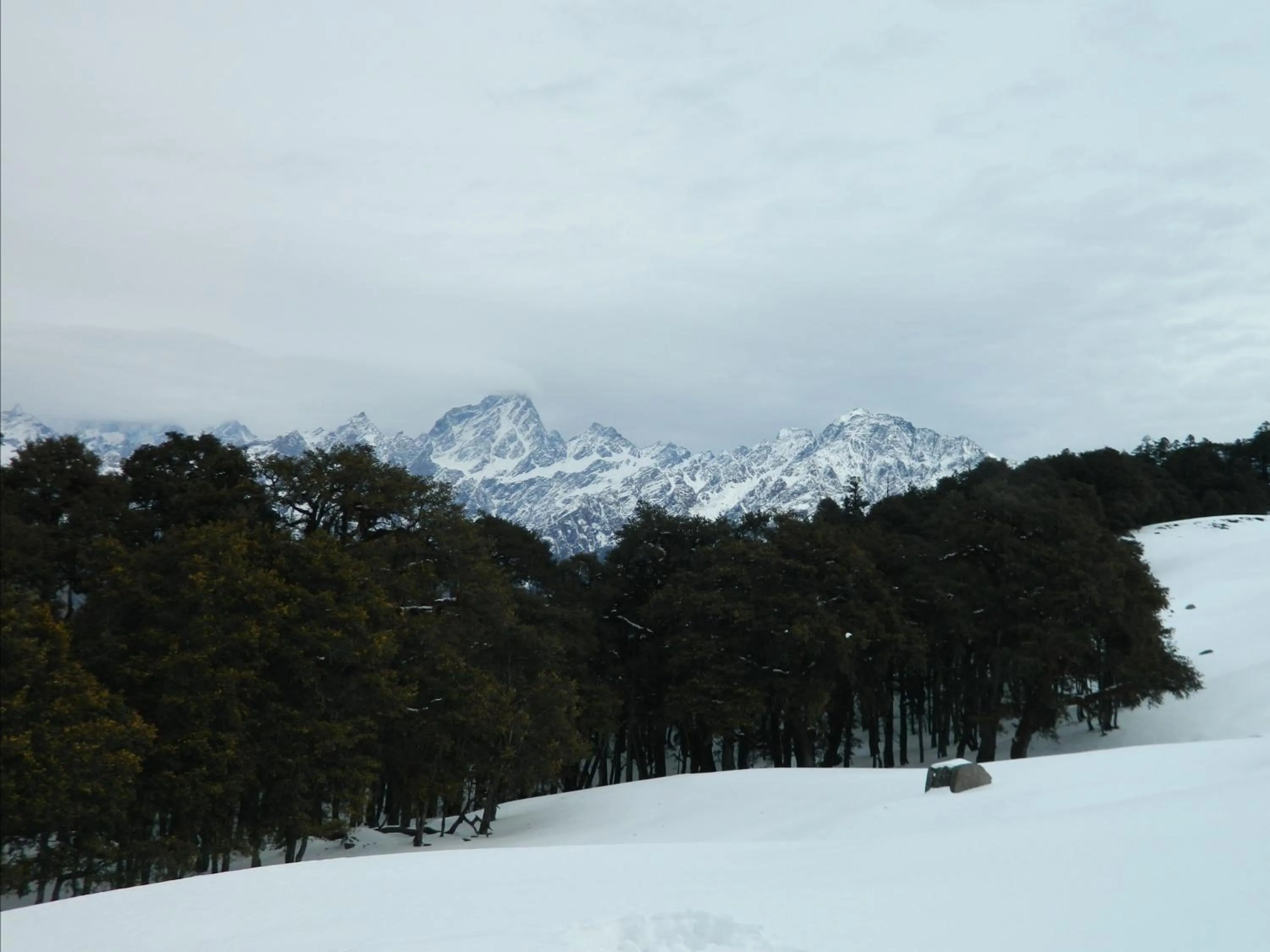 Mountain view in The Hosteller Kasol, Riverside