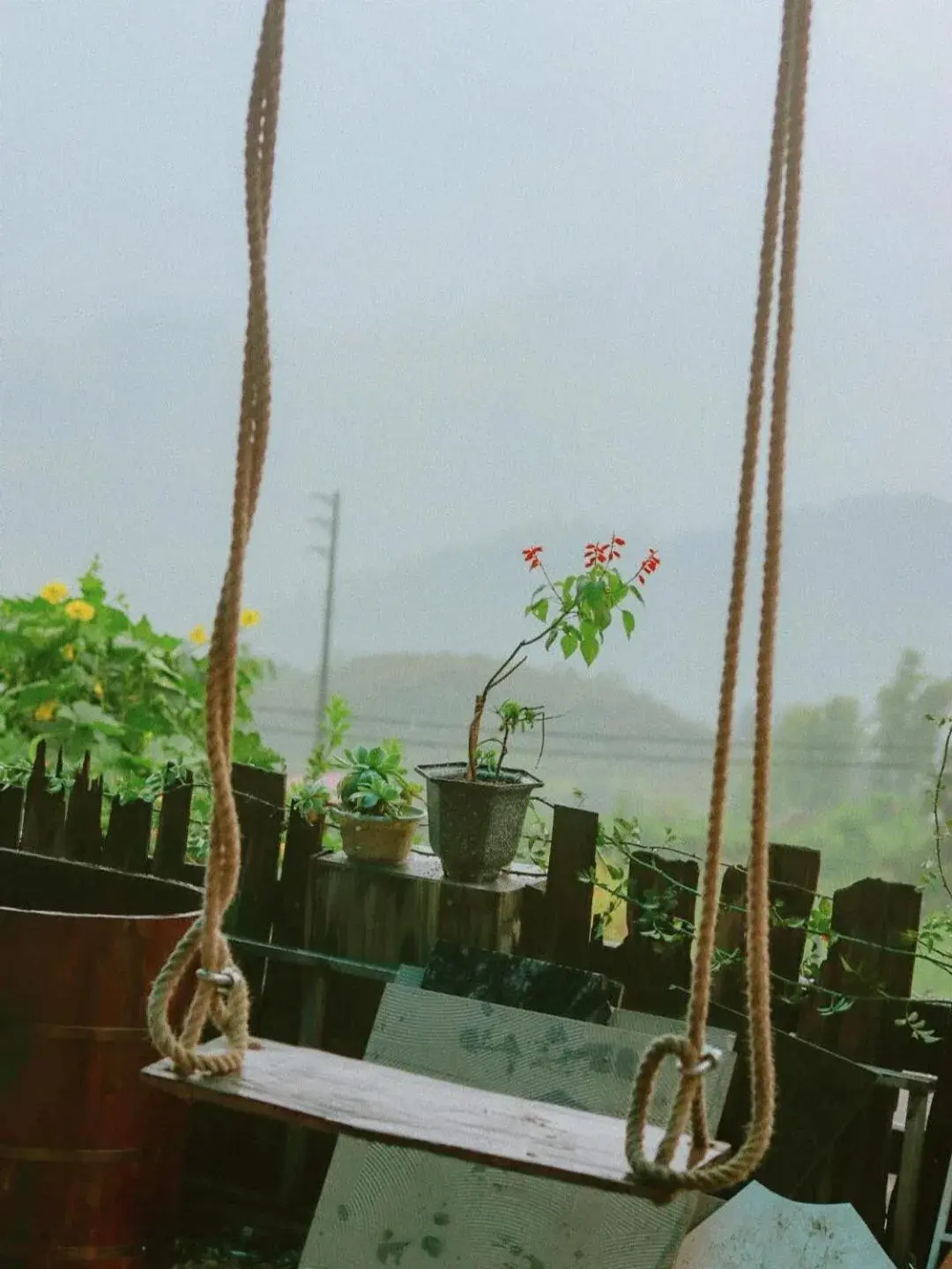 Garden in D Home Sapa 2 Garden in D Home Sapa 2