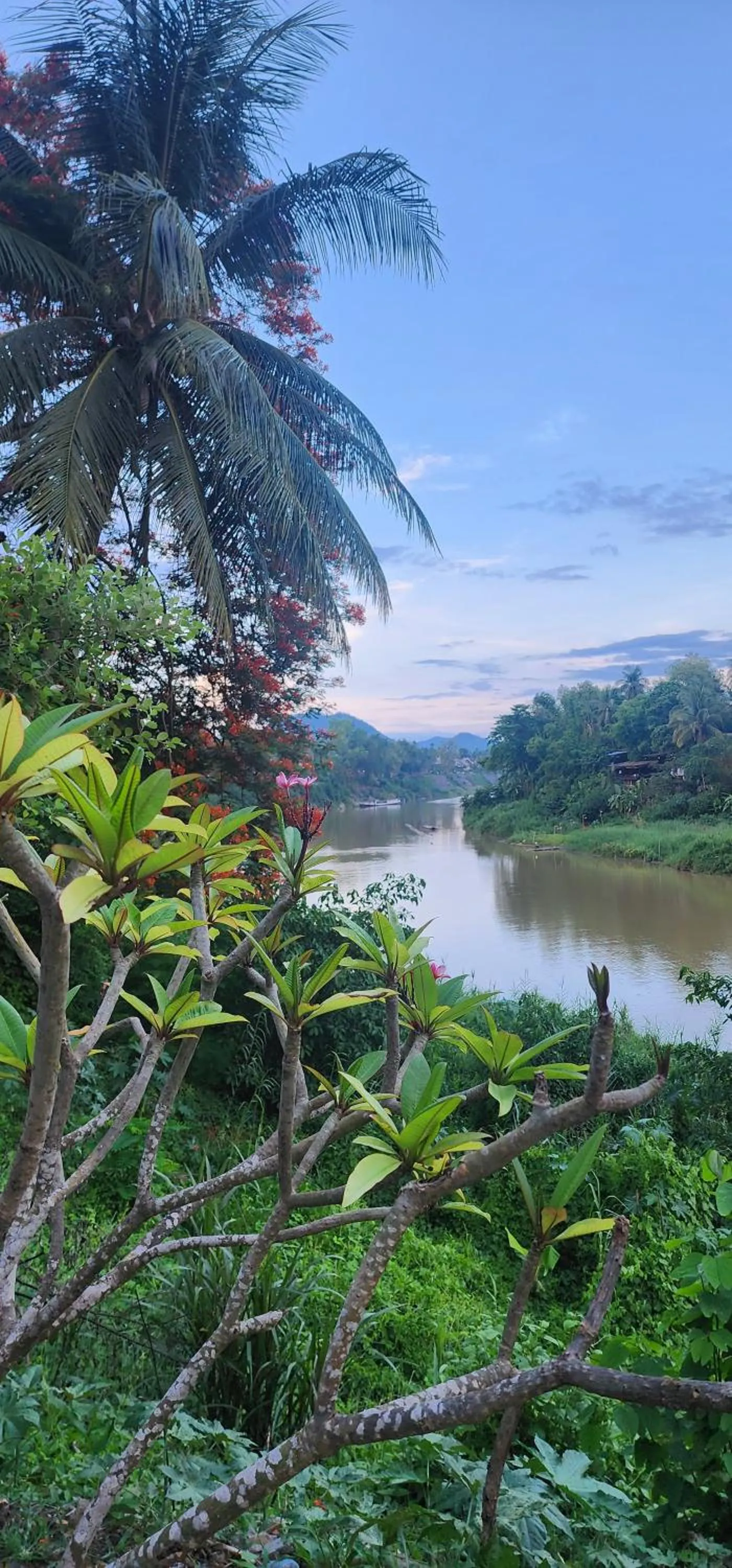 Natural landscape in Maison Zen Aphay