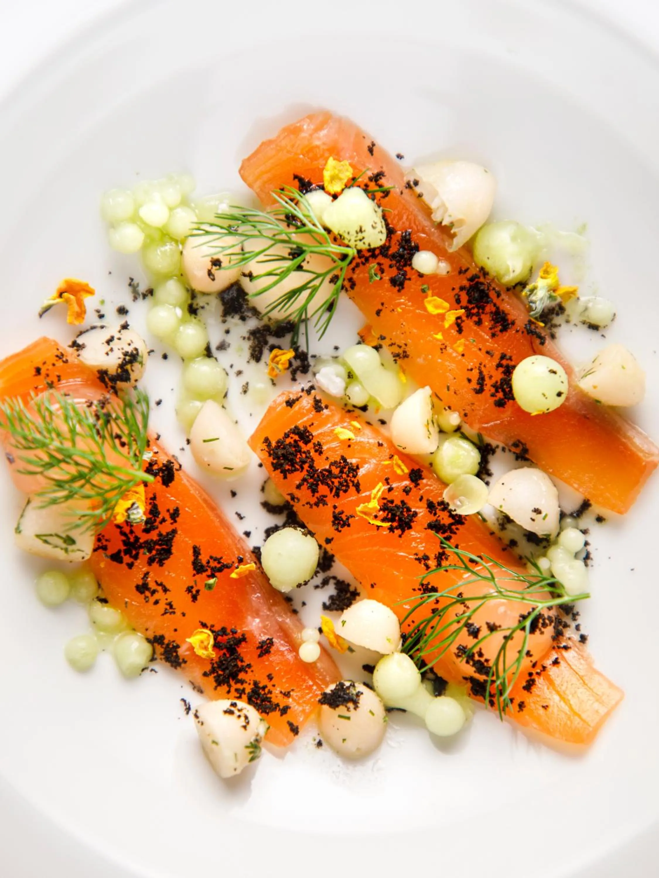 Restaurant/places to eat in I Portici Hotel Bologna