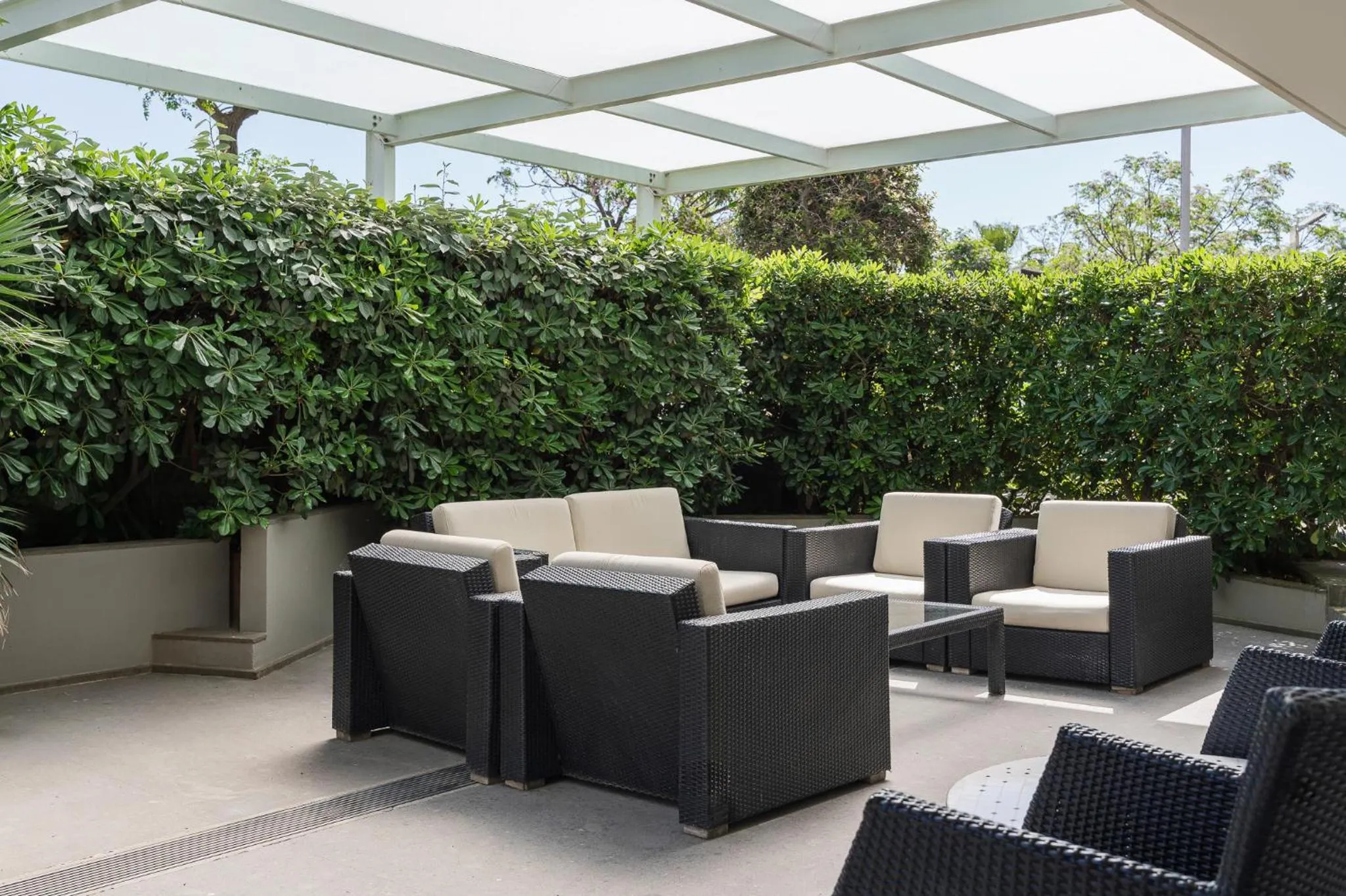 Garden in Hotel Michelangelo