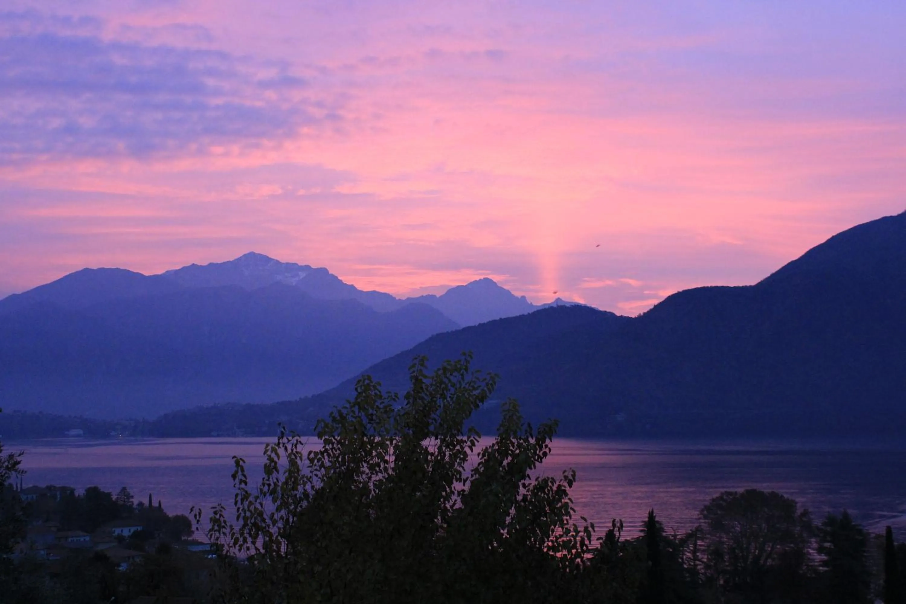 Garden in Residence Celeste