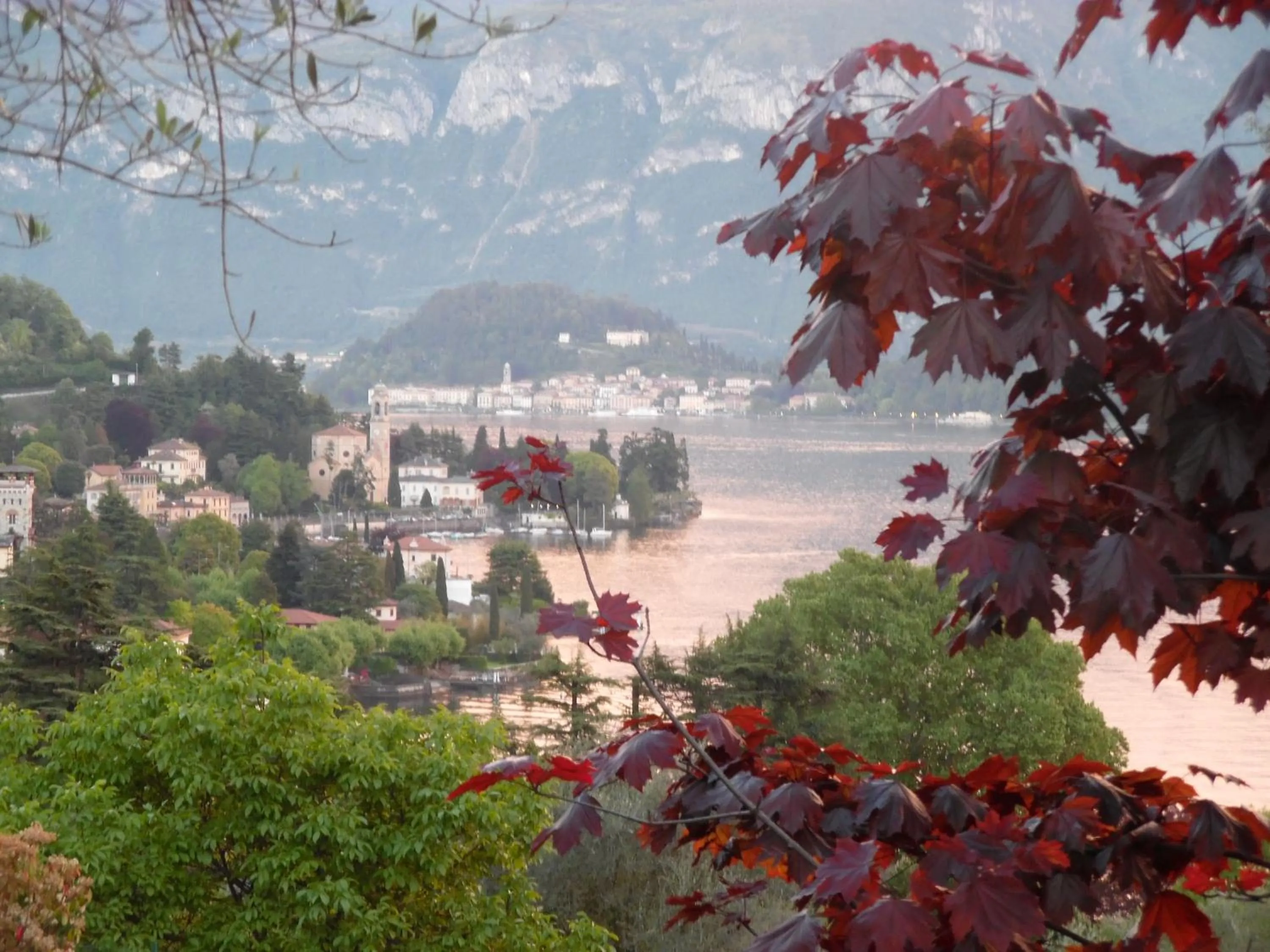 Other in Residence Celeste