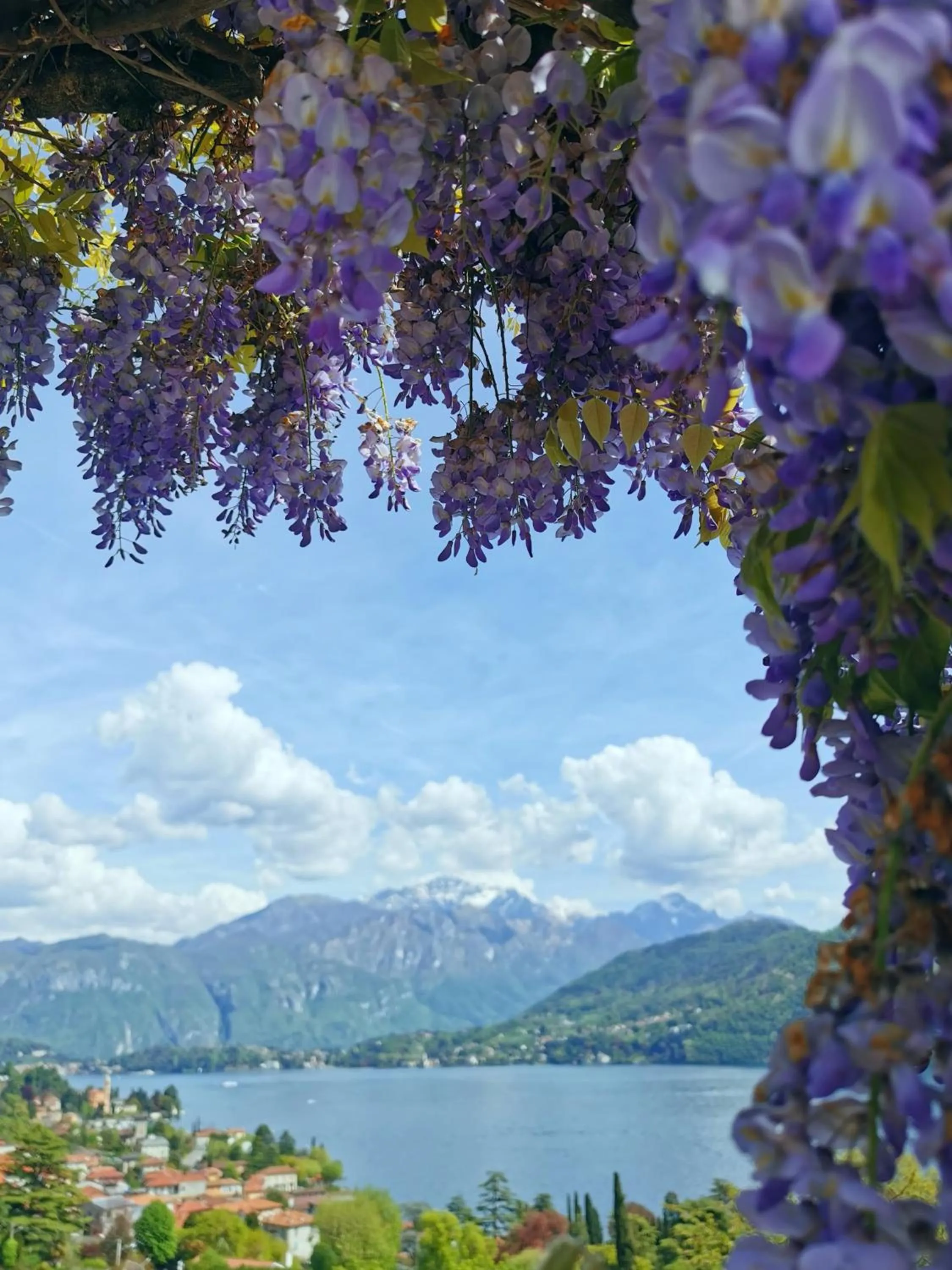 Photo of the whole room in Residence Celeste