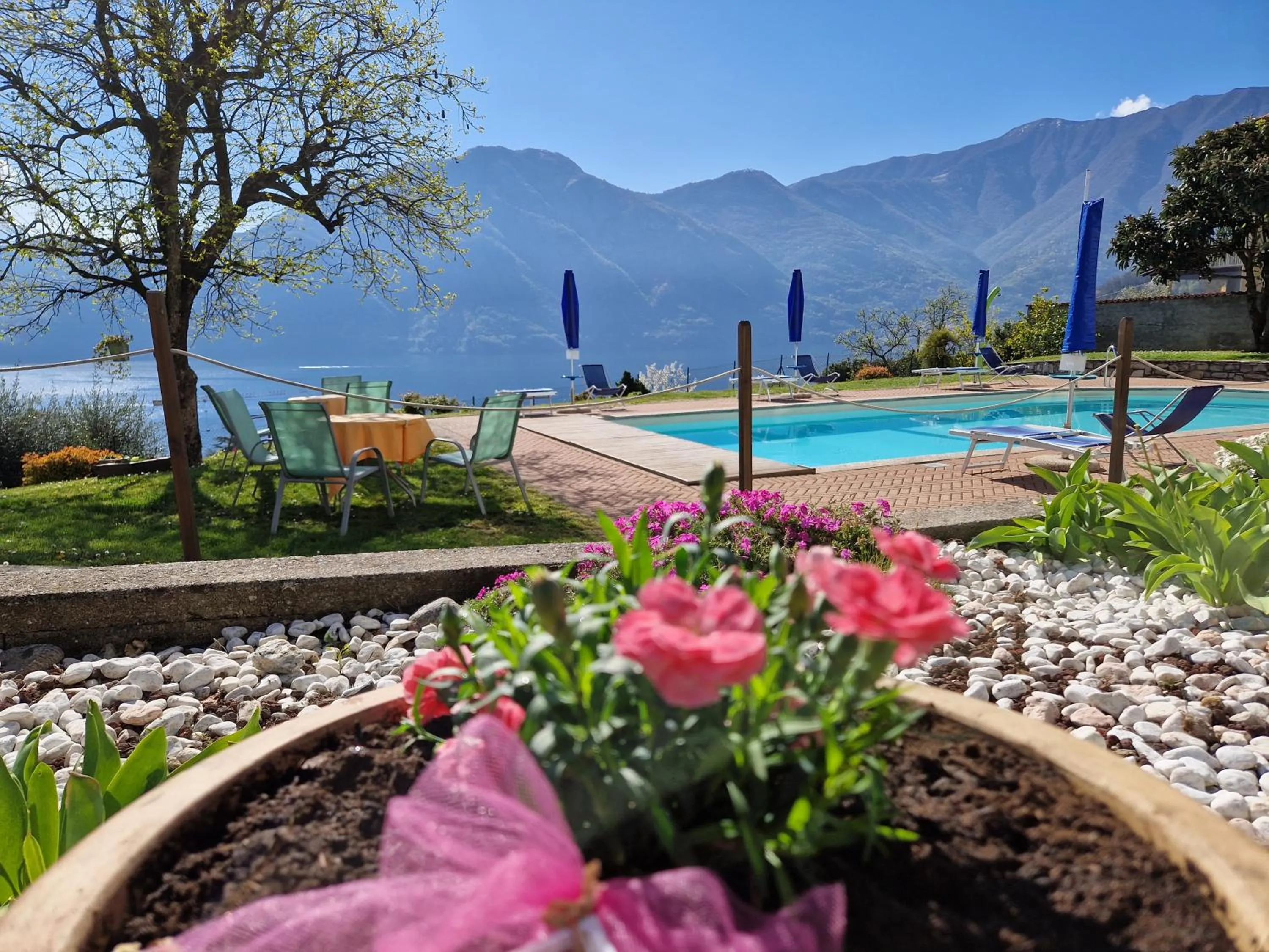 Natural landscape in Residence Celeste