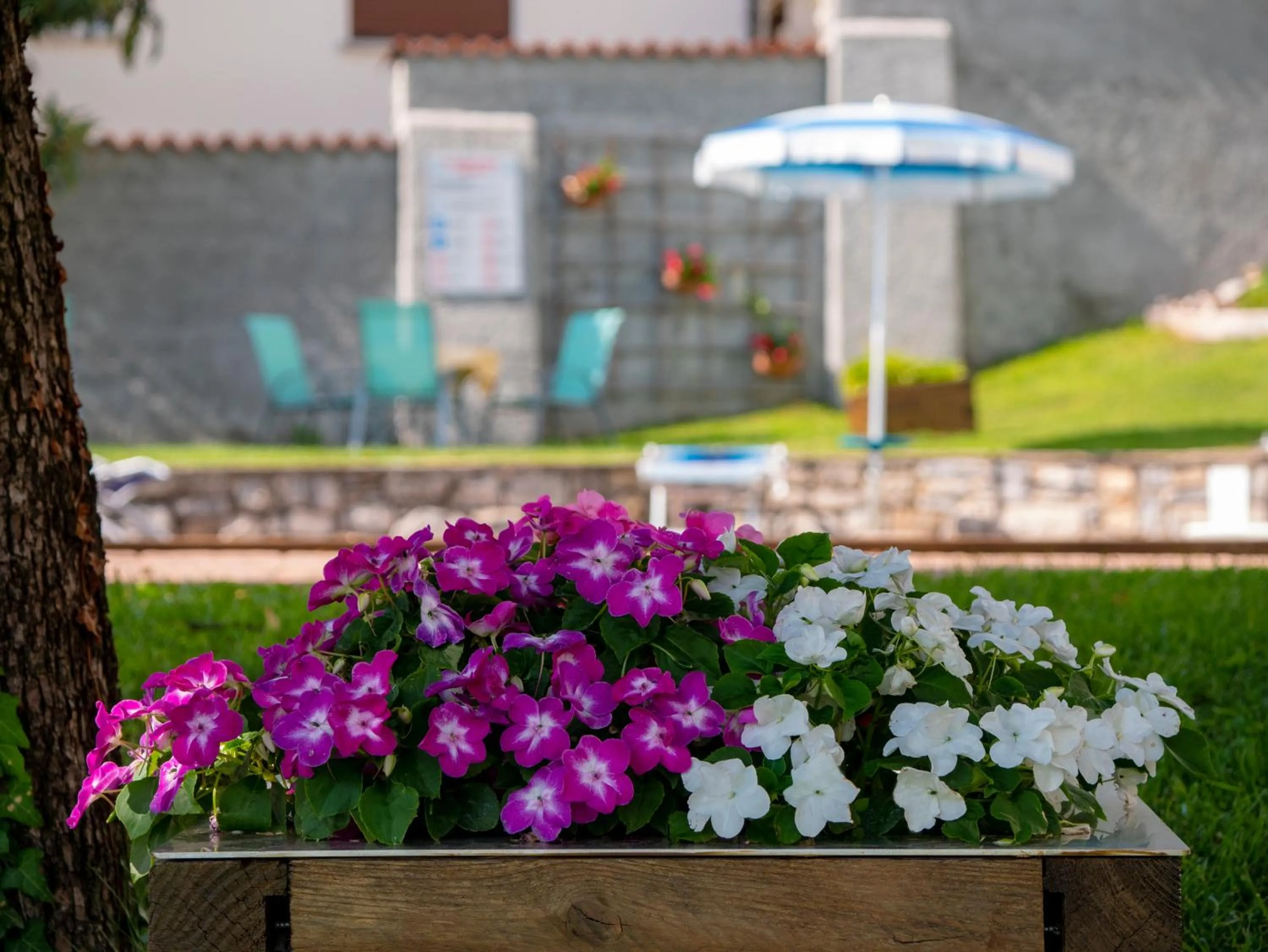 Garden in Residence Celeste