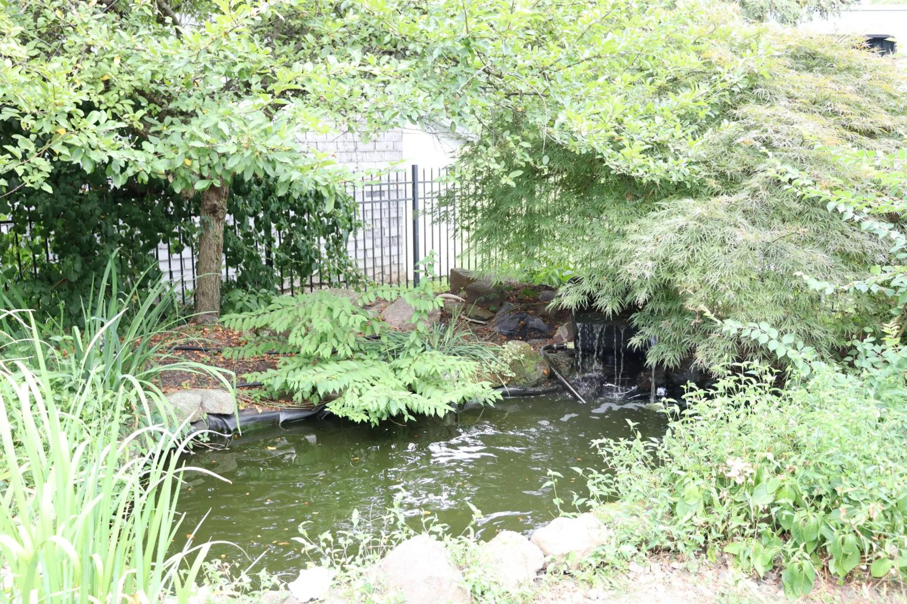 Natural landscape in VAAST Bed & Breakfast