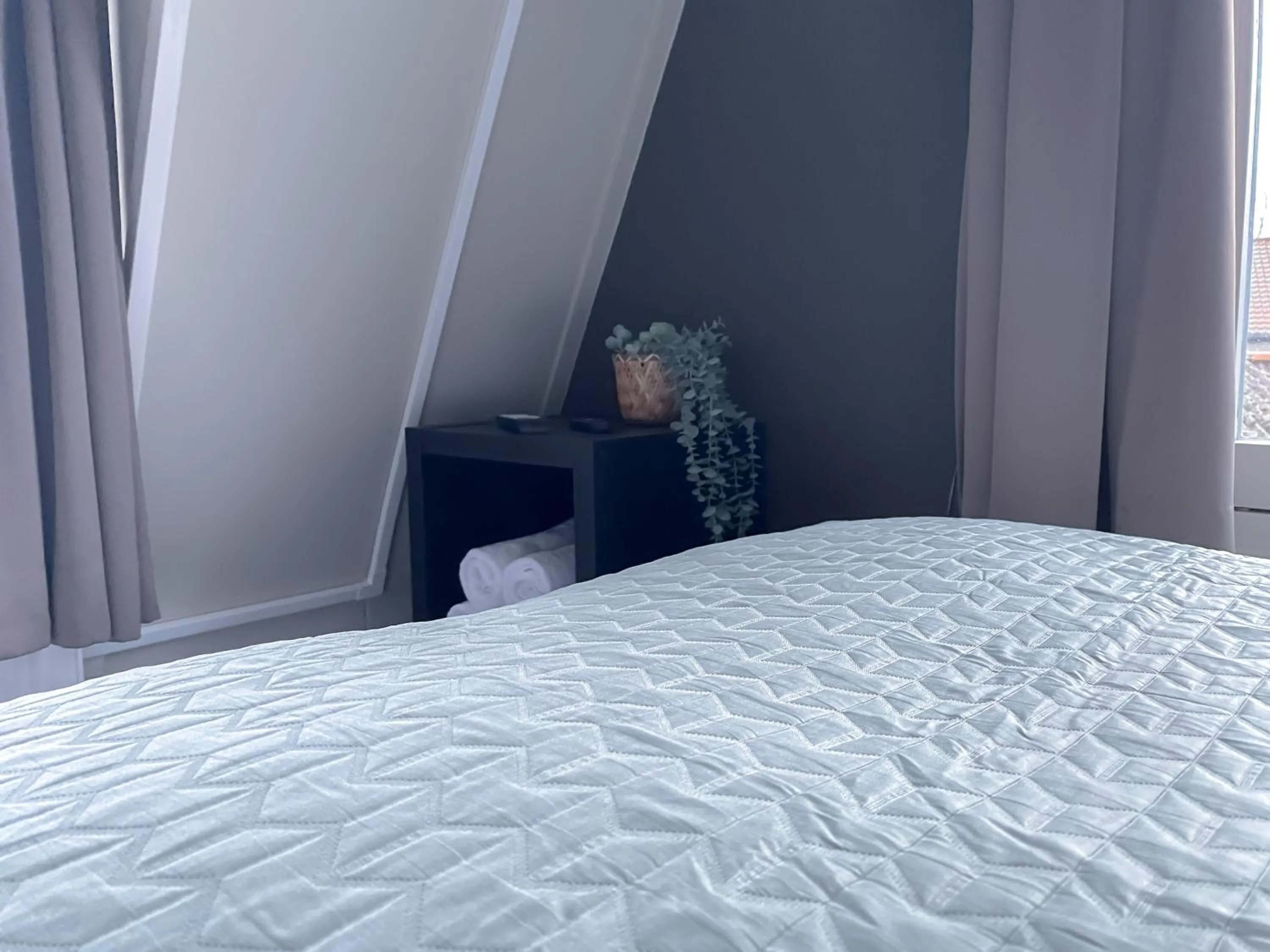 Bed in Hotel de Slapende Hollander - Economy