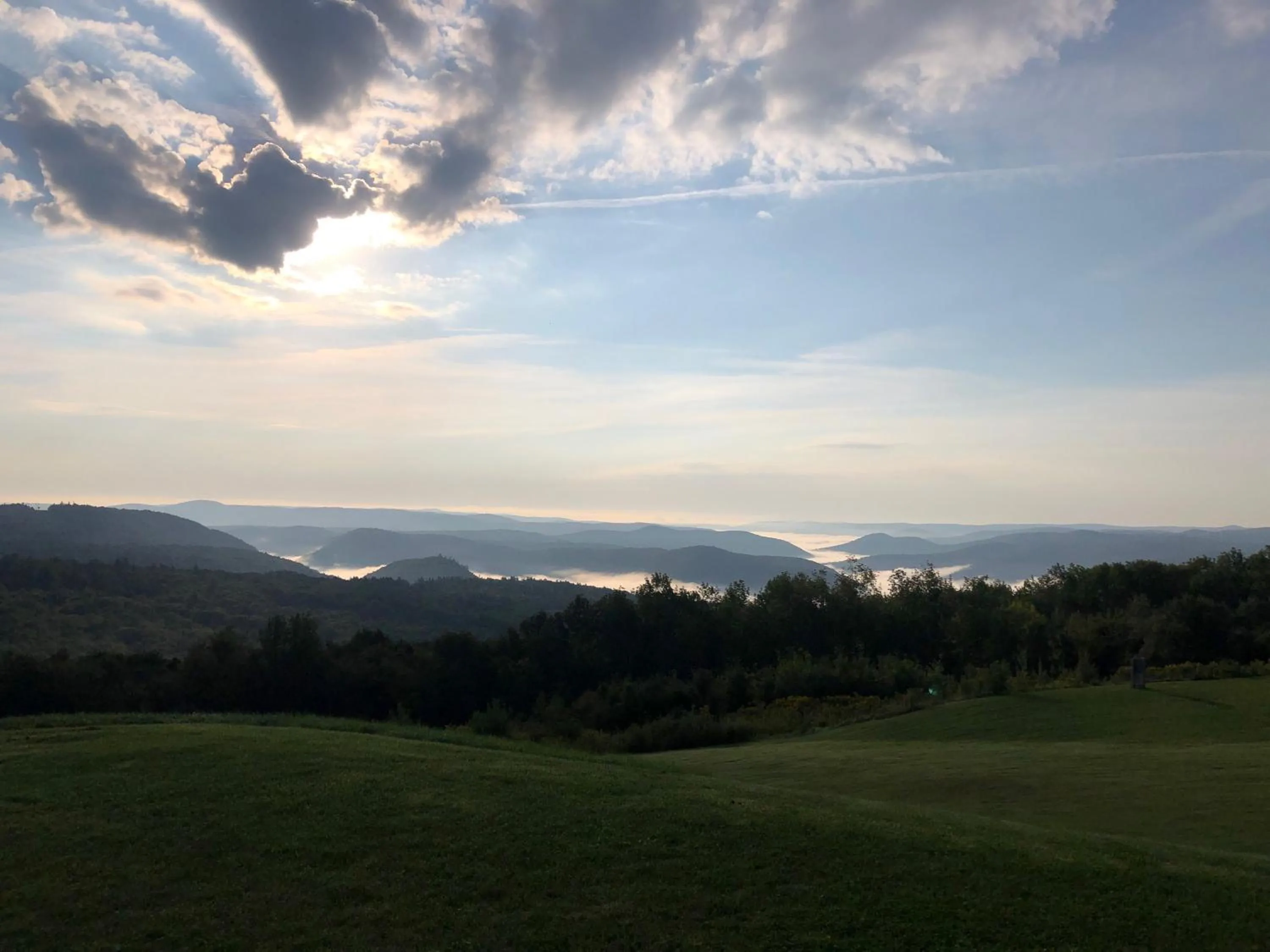 View (from property/room) in Blue Vista Motor Lodge