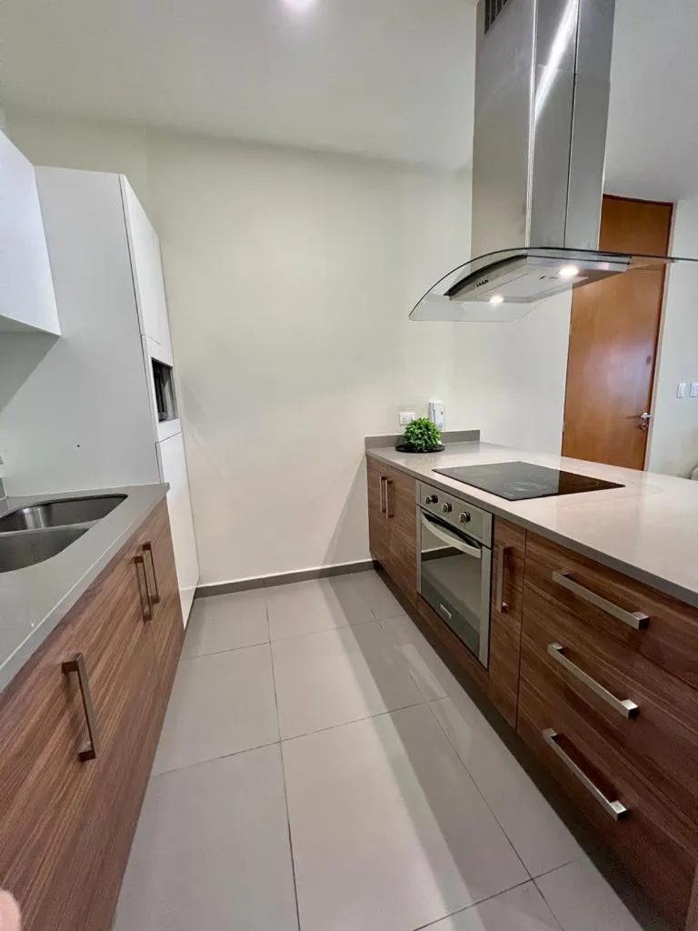 Lujoso departamento en el corazón de Playa