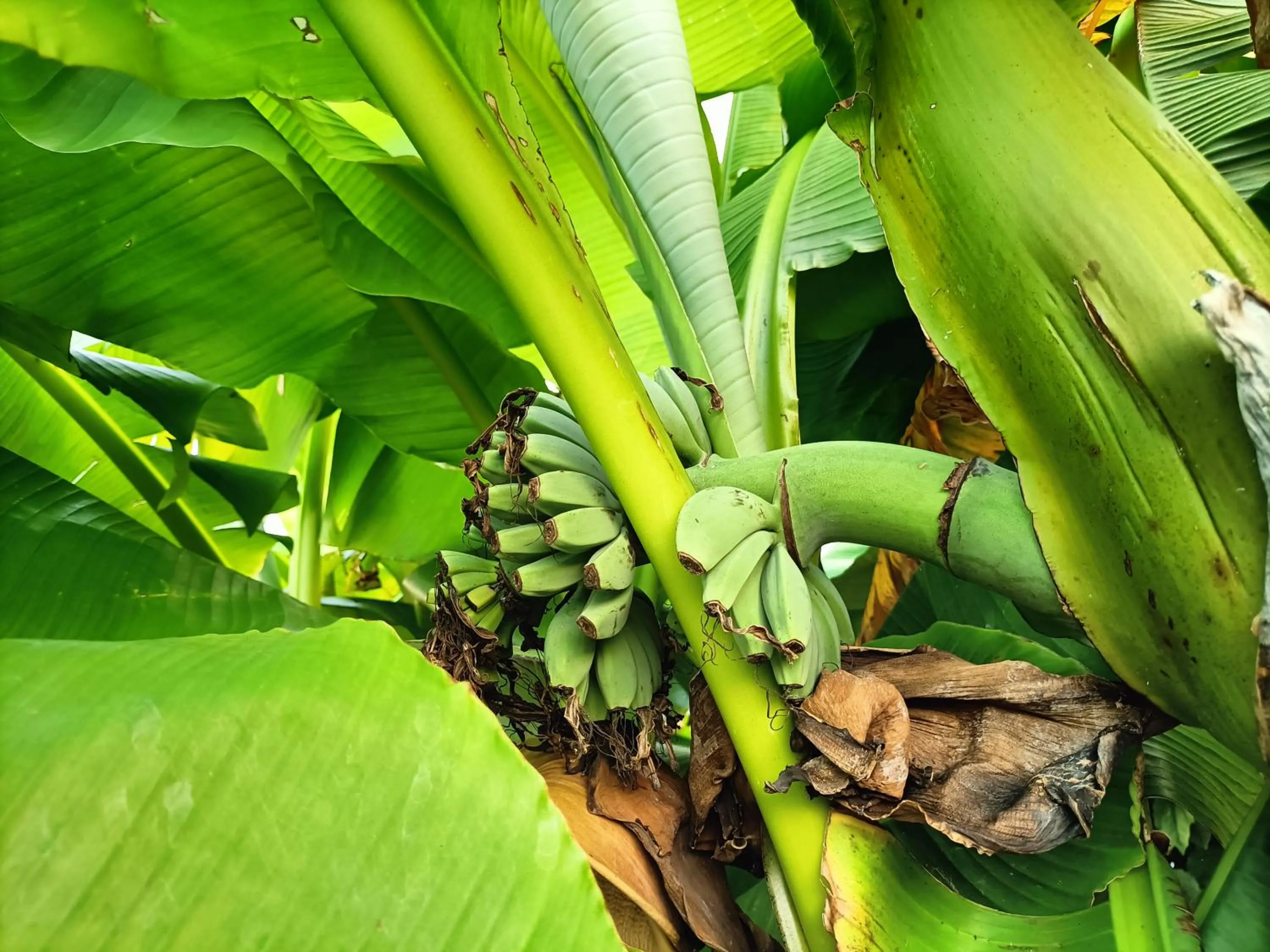 Chez Christelle & Francky