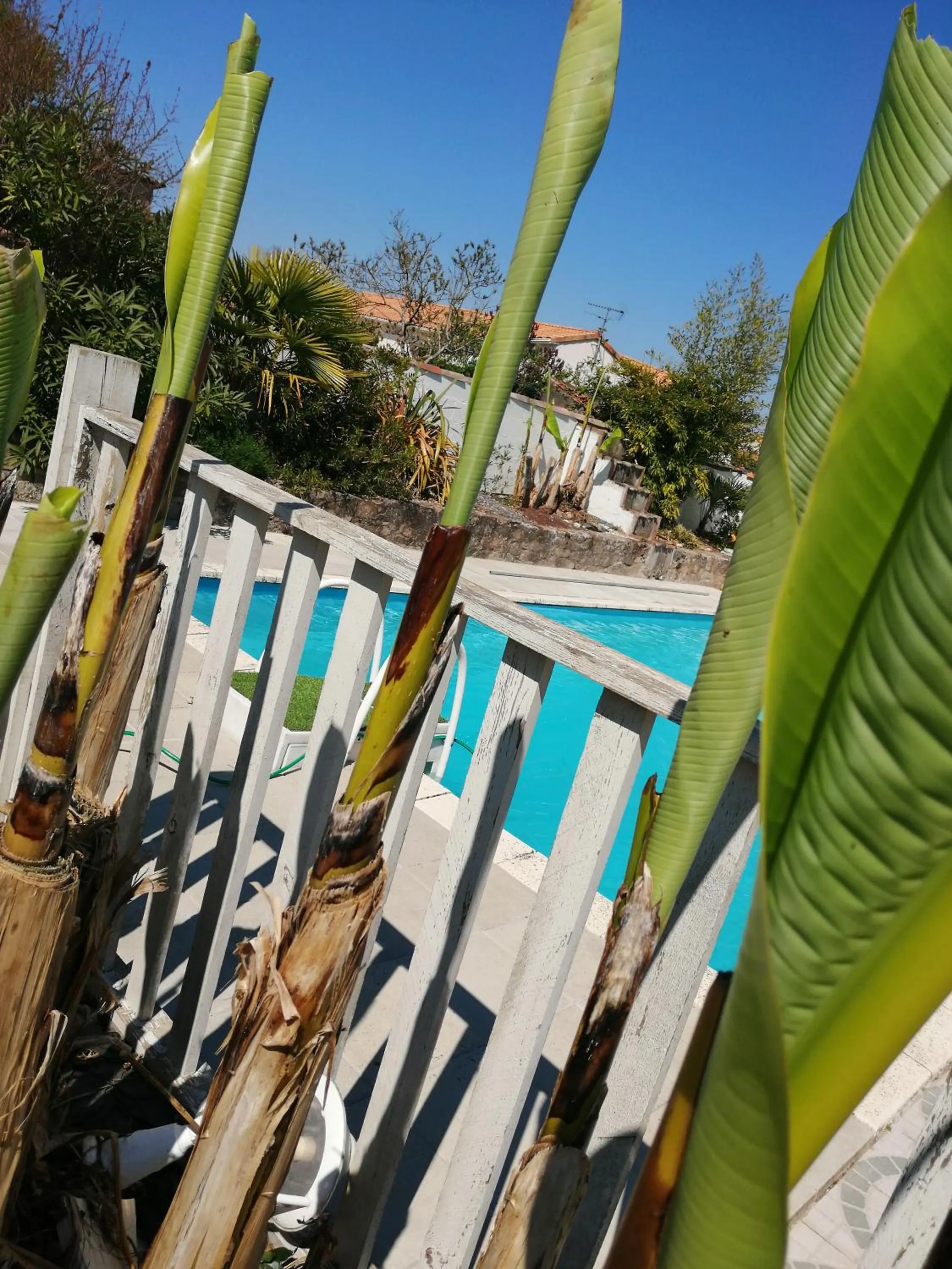 Pool View in Chez Christelle & Francky