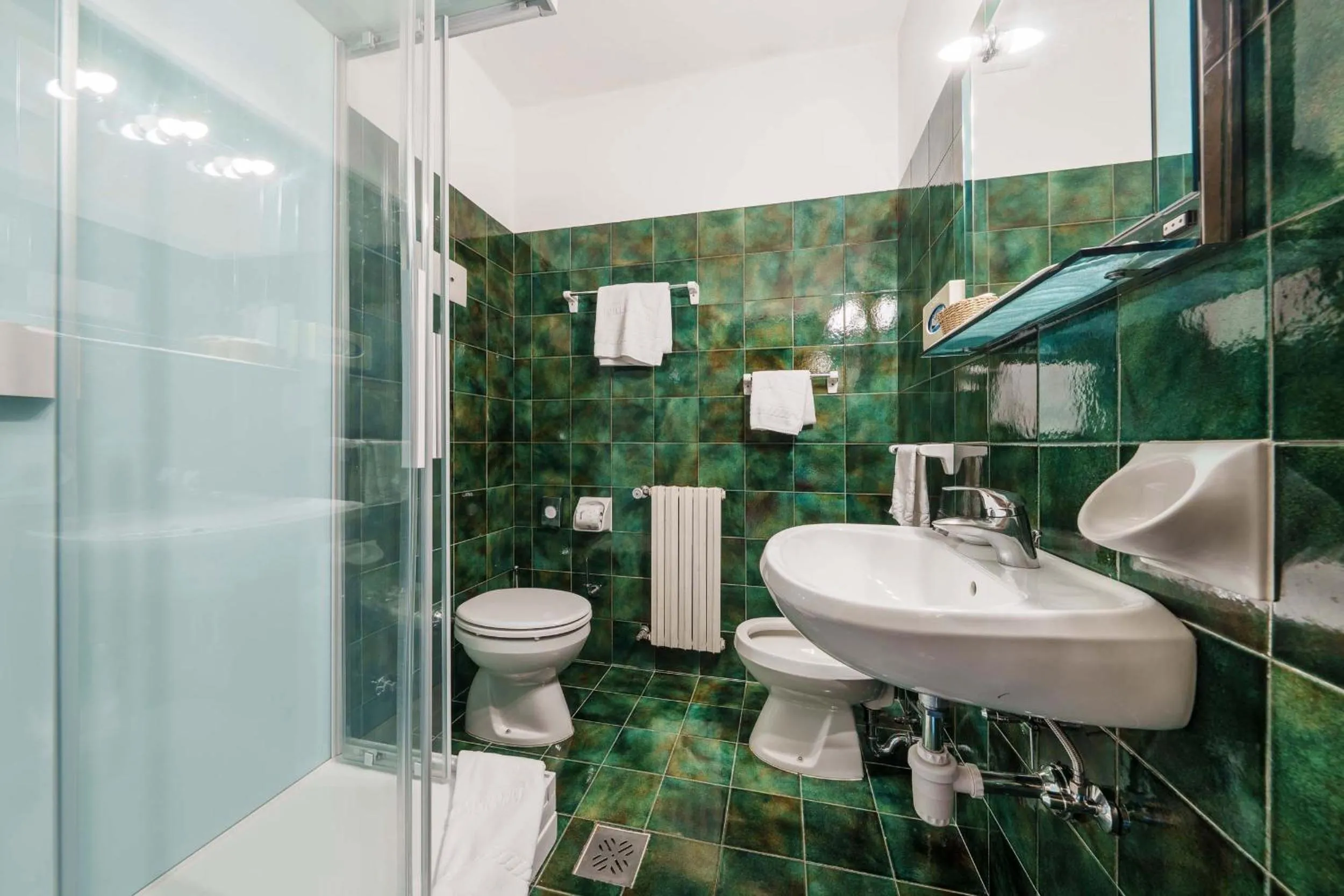 Bathroom in Hotel Menardi