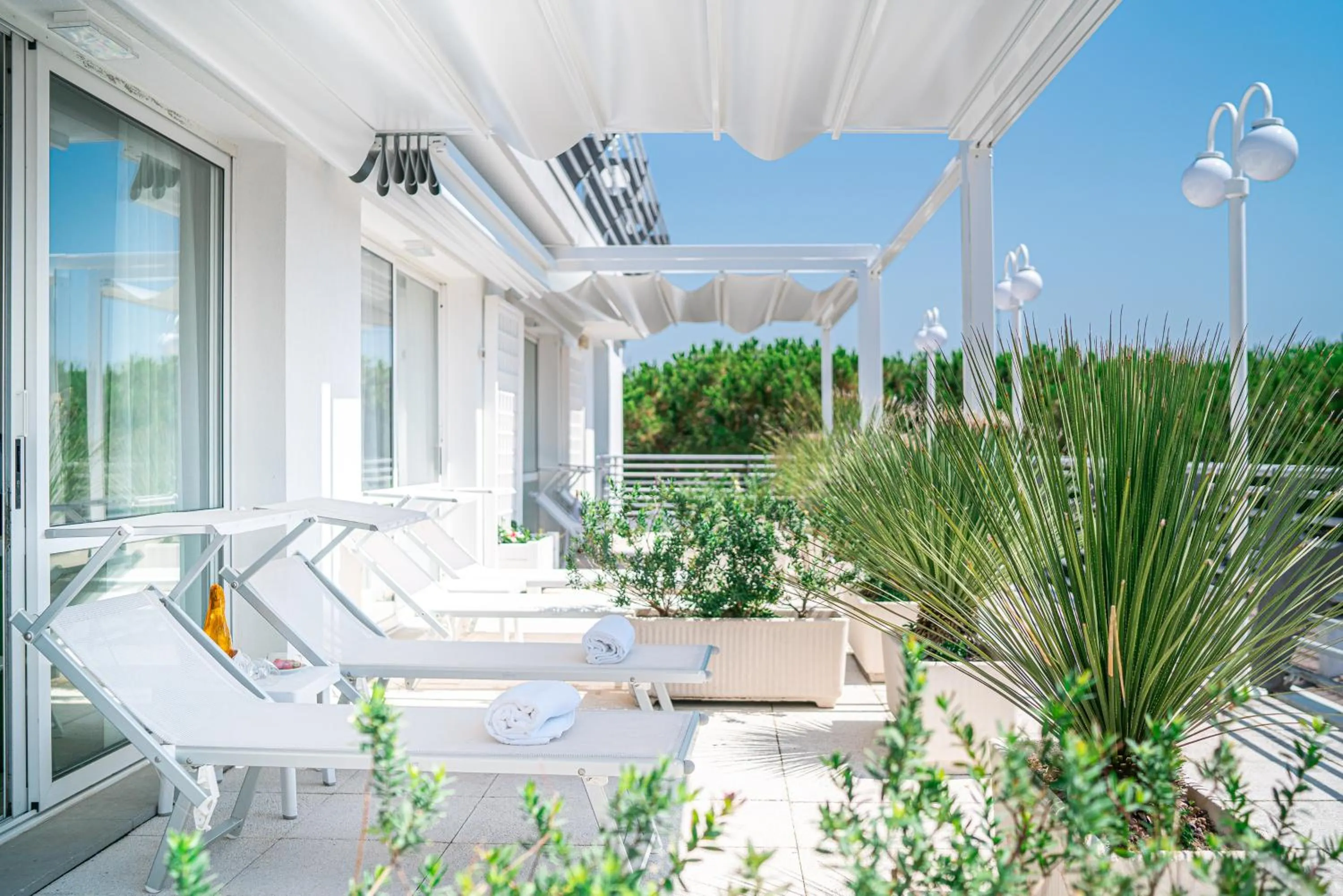 Photo of the whole room in Hotel Palace