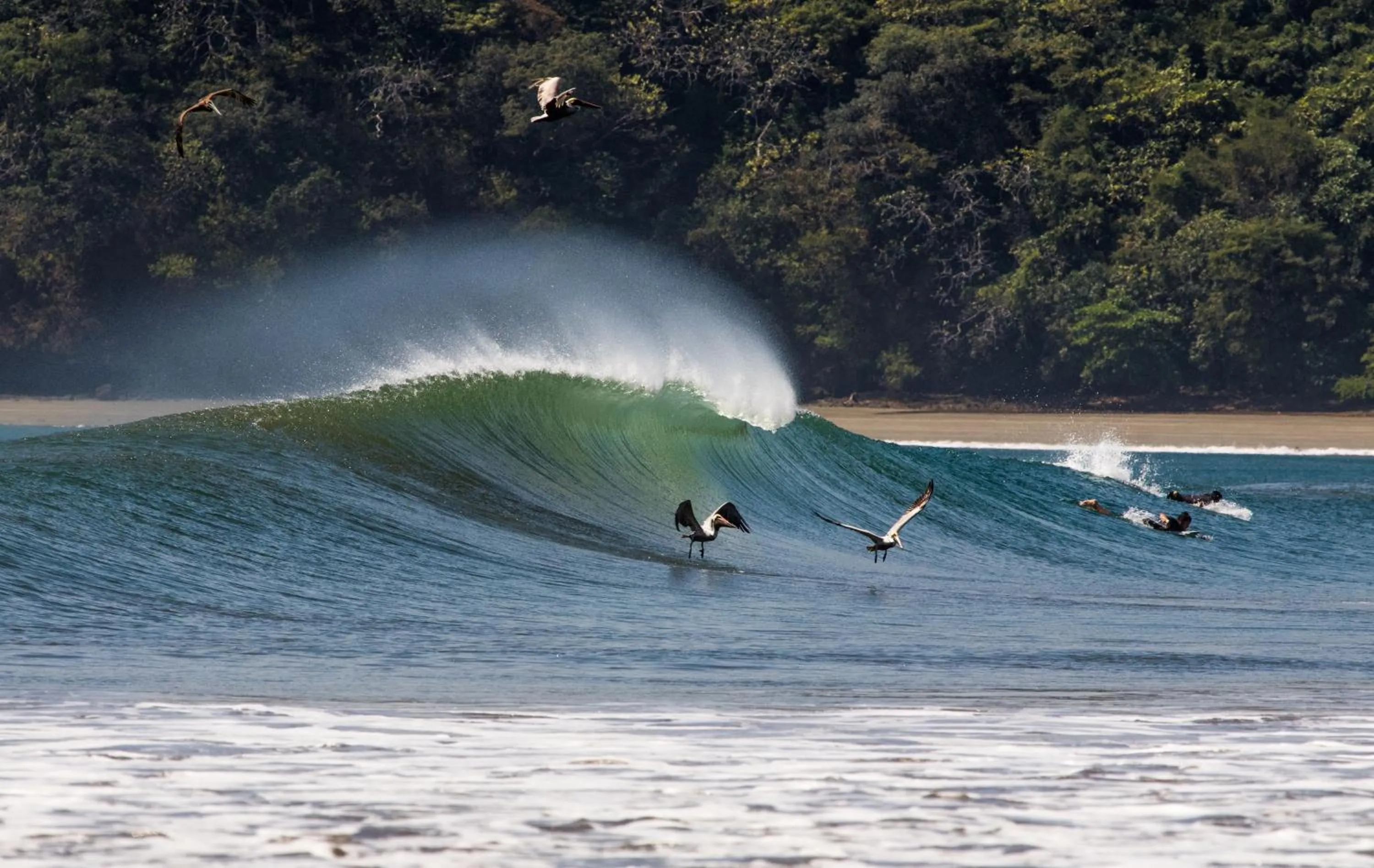 Beach in Beach Break Hotel & Surf Camp de Playa Venao