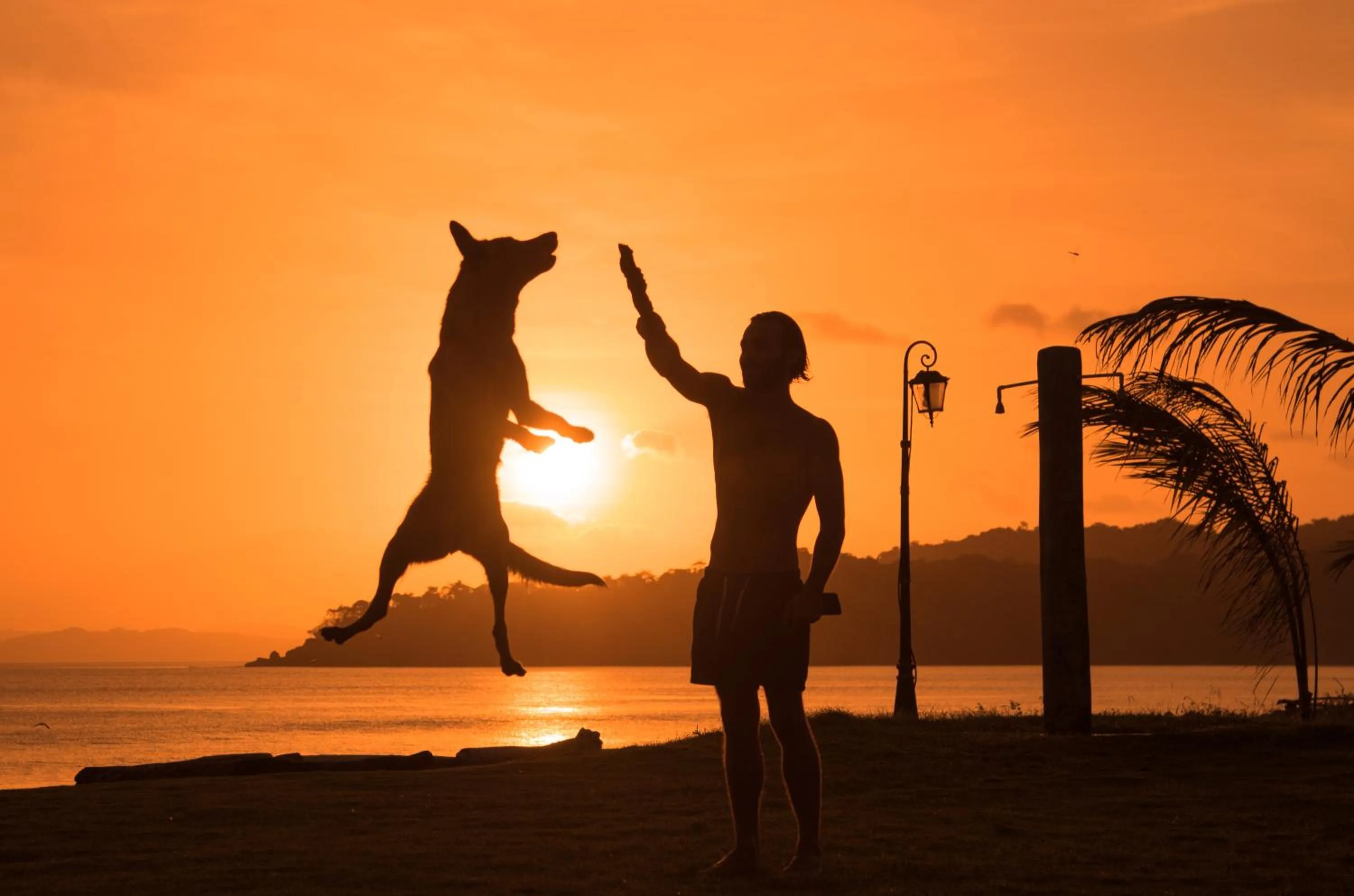 On site in Beach Break Hotel & Surf Camp de Playa Venao