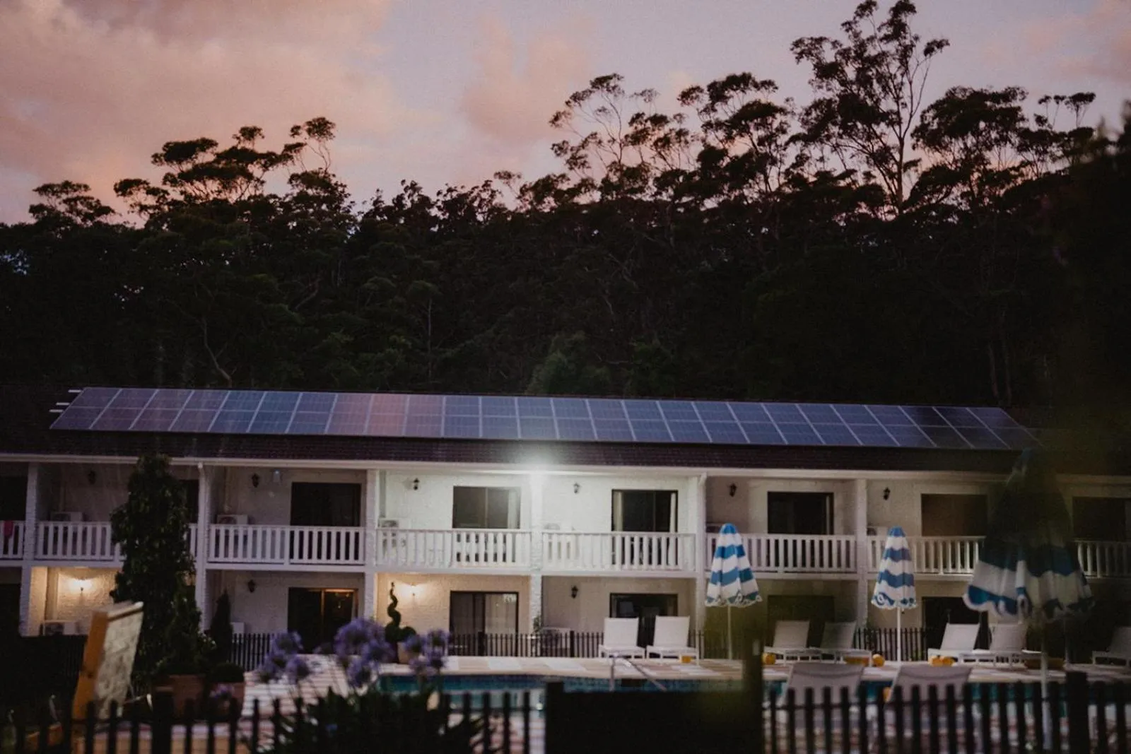 Garden in The Lodge Jamberoo