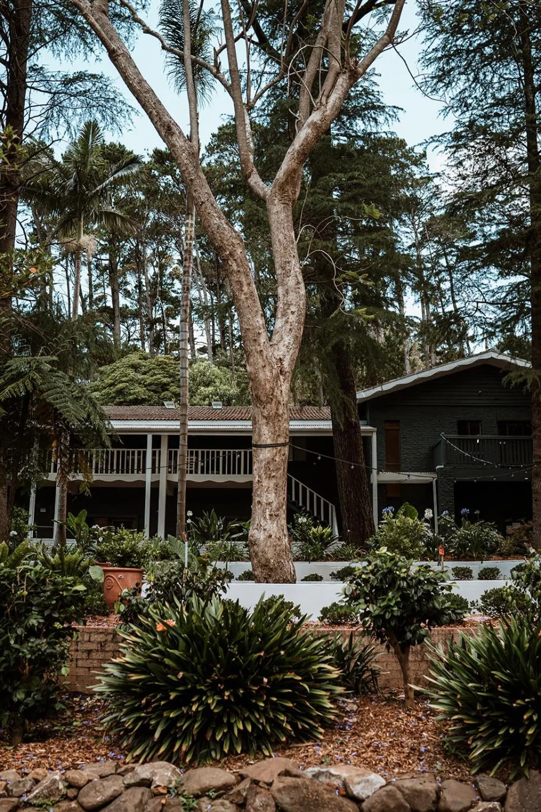 Restaurant/places to eat in The Lodge Jamberoo