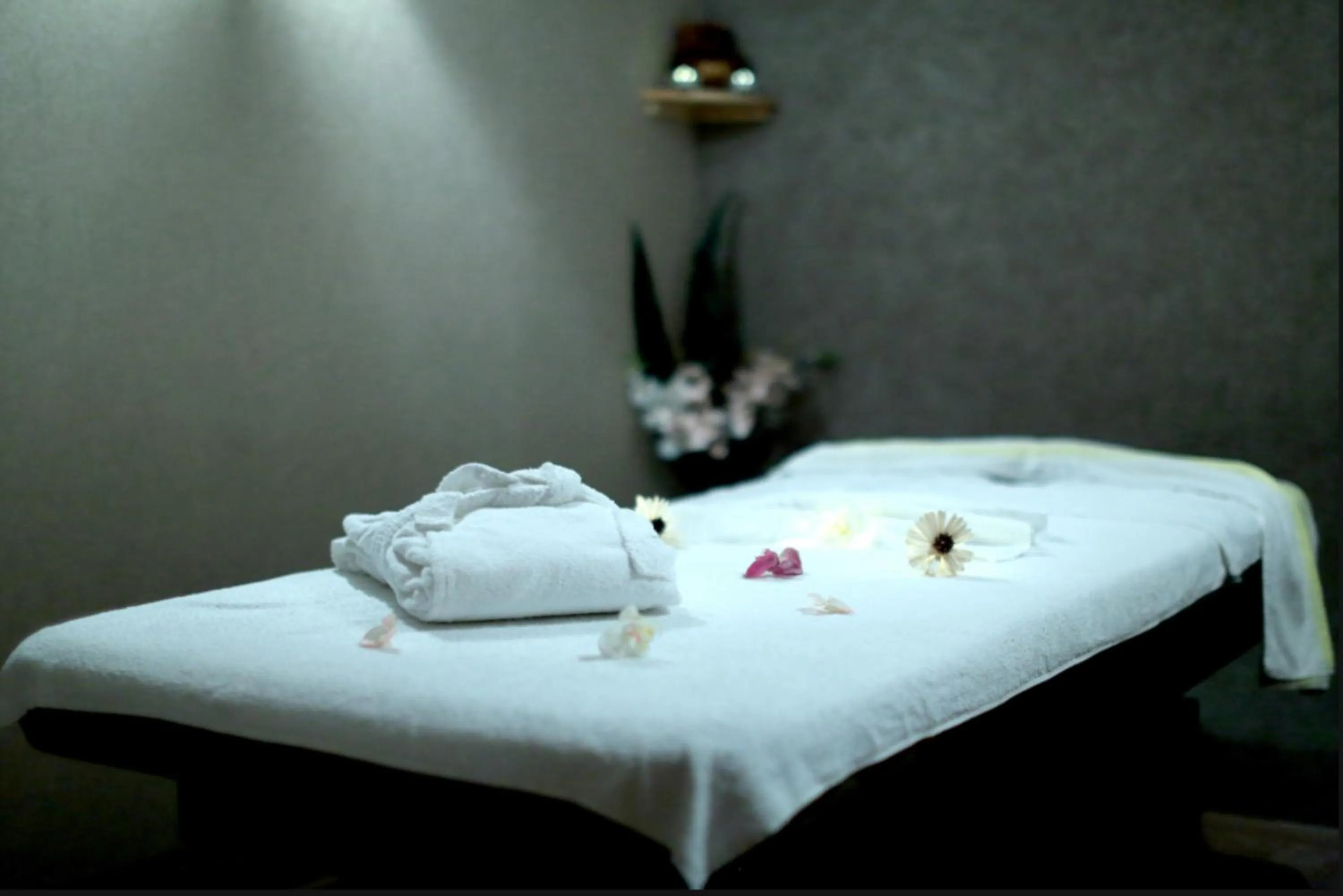 Massage in Dedeman Istanbul