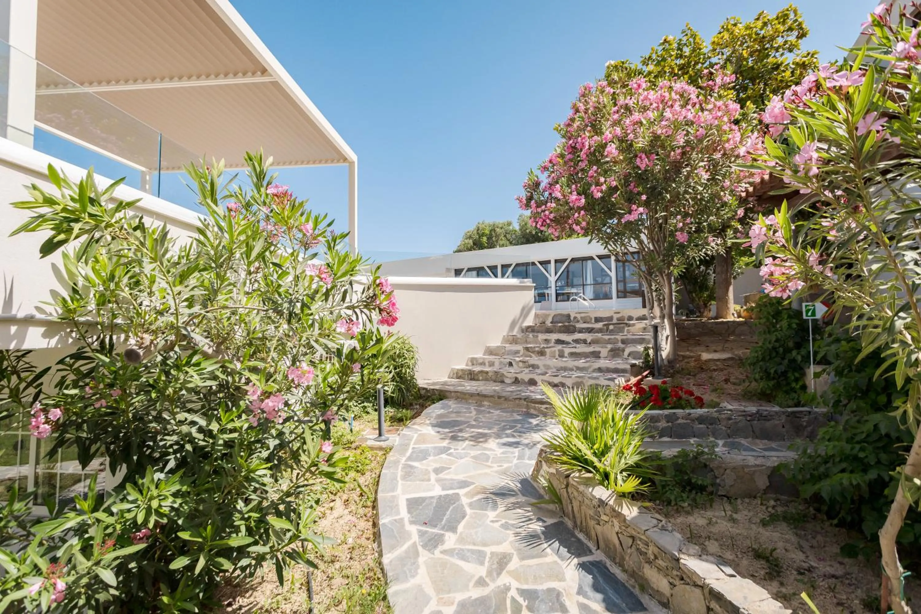 Spring in Rose of Crete