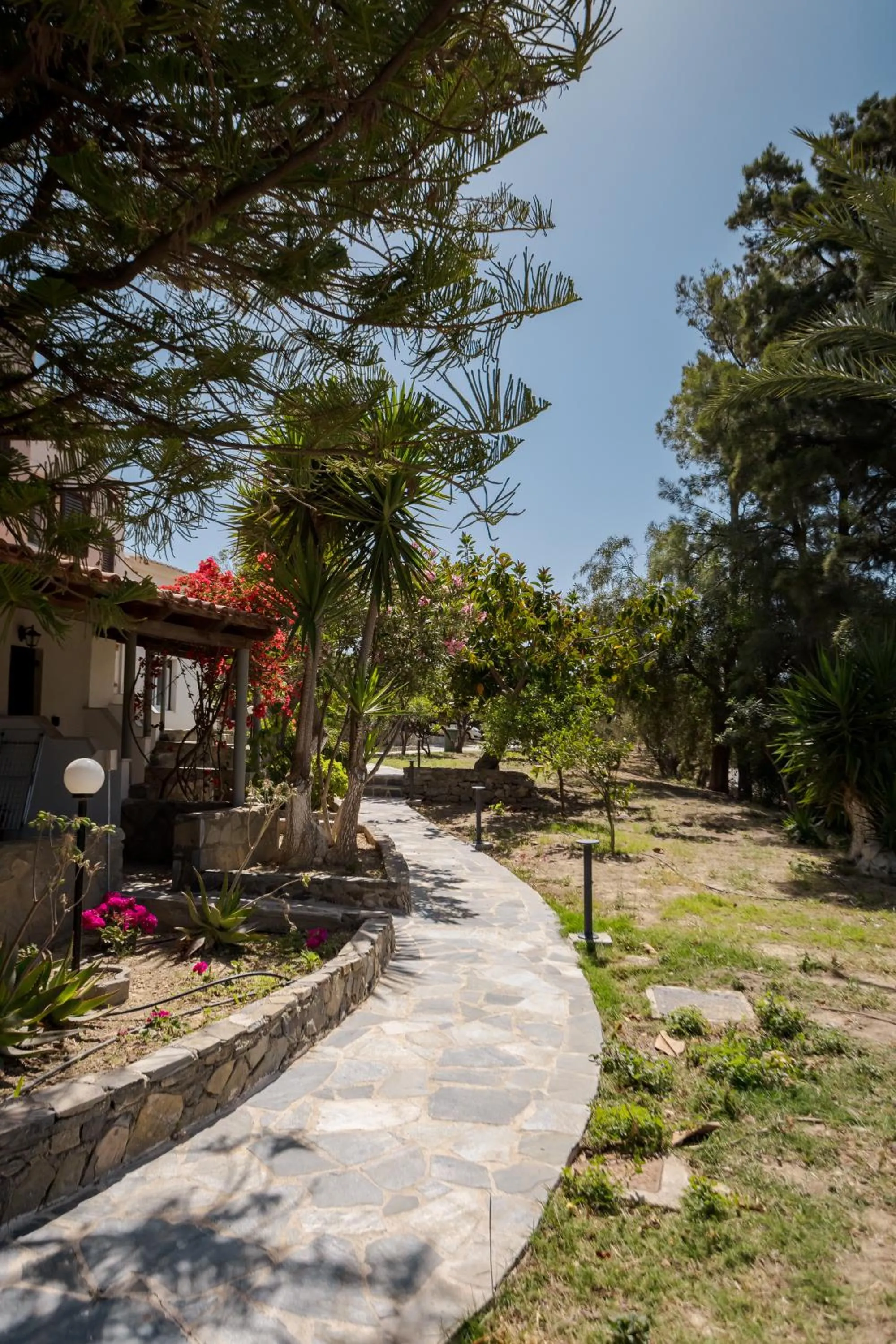 Spring in Rose of Crete