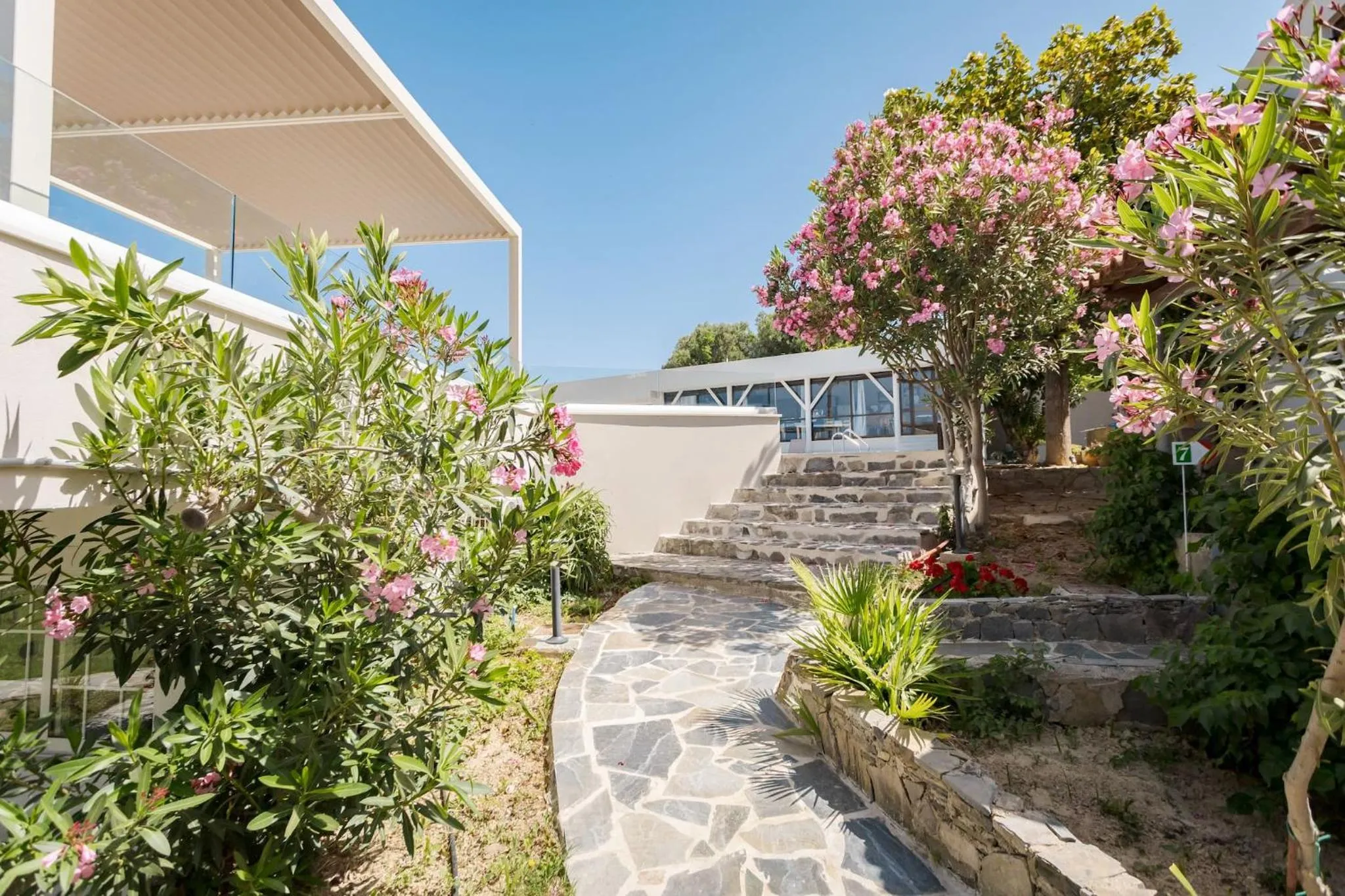 Other in Rose of Crete