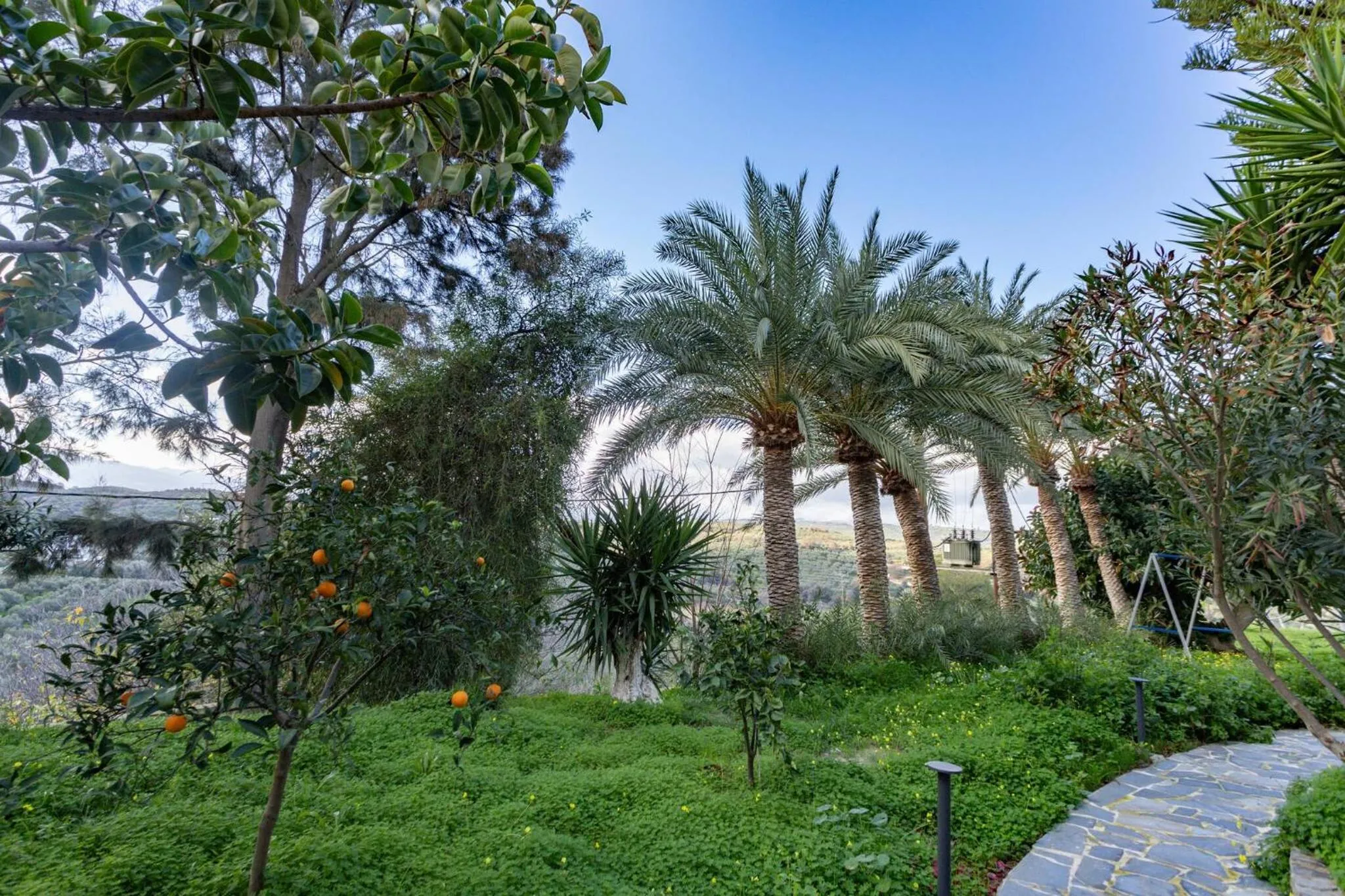 Off site in Rose of Crete