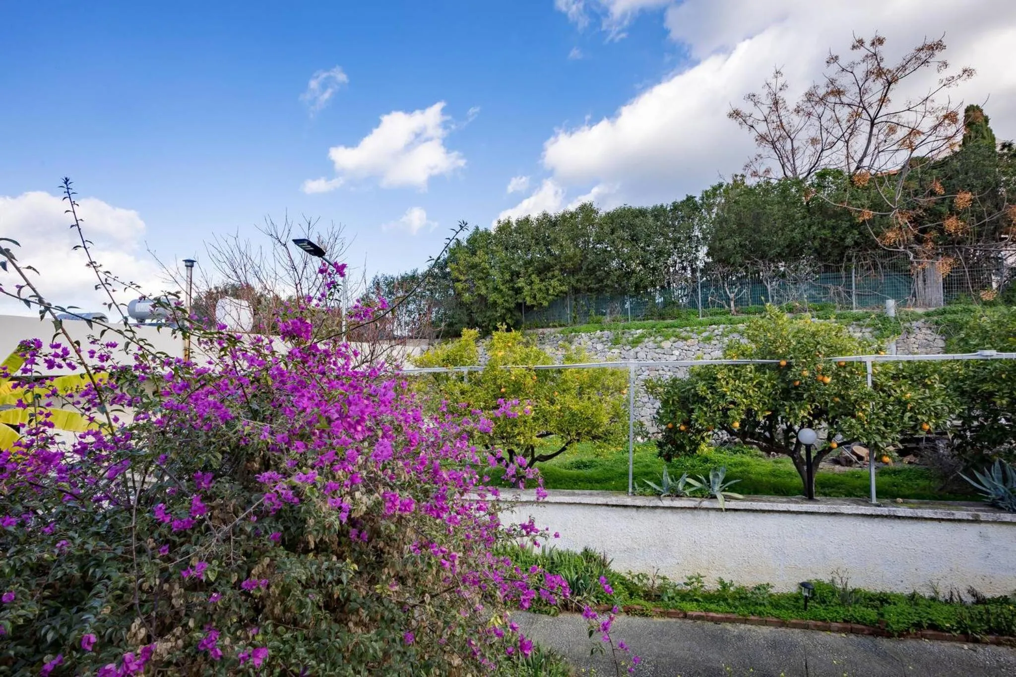 Off site in Rose of Crete