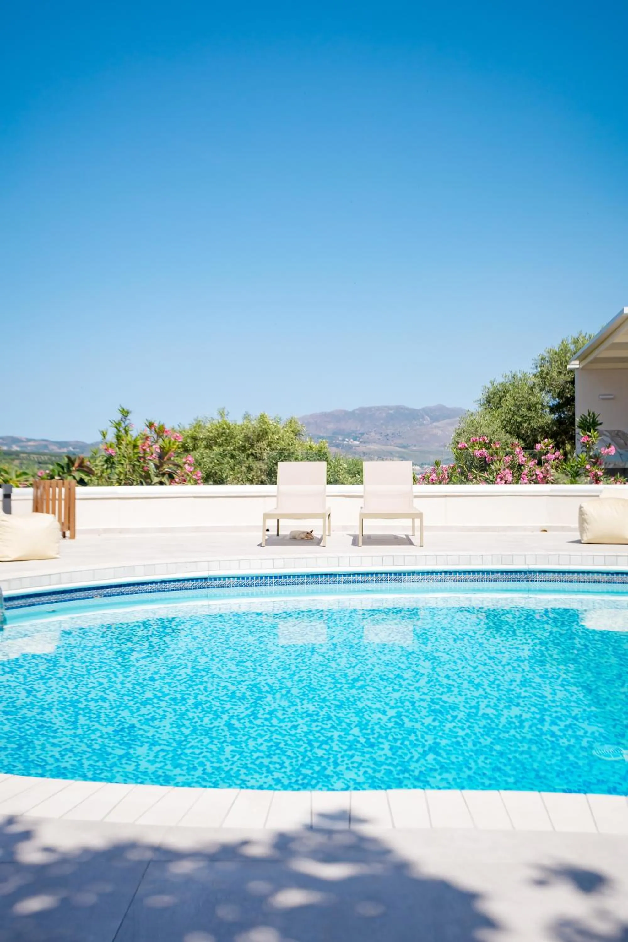 Day in Rose of Crete