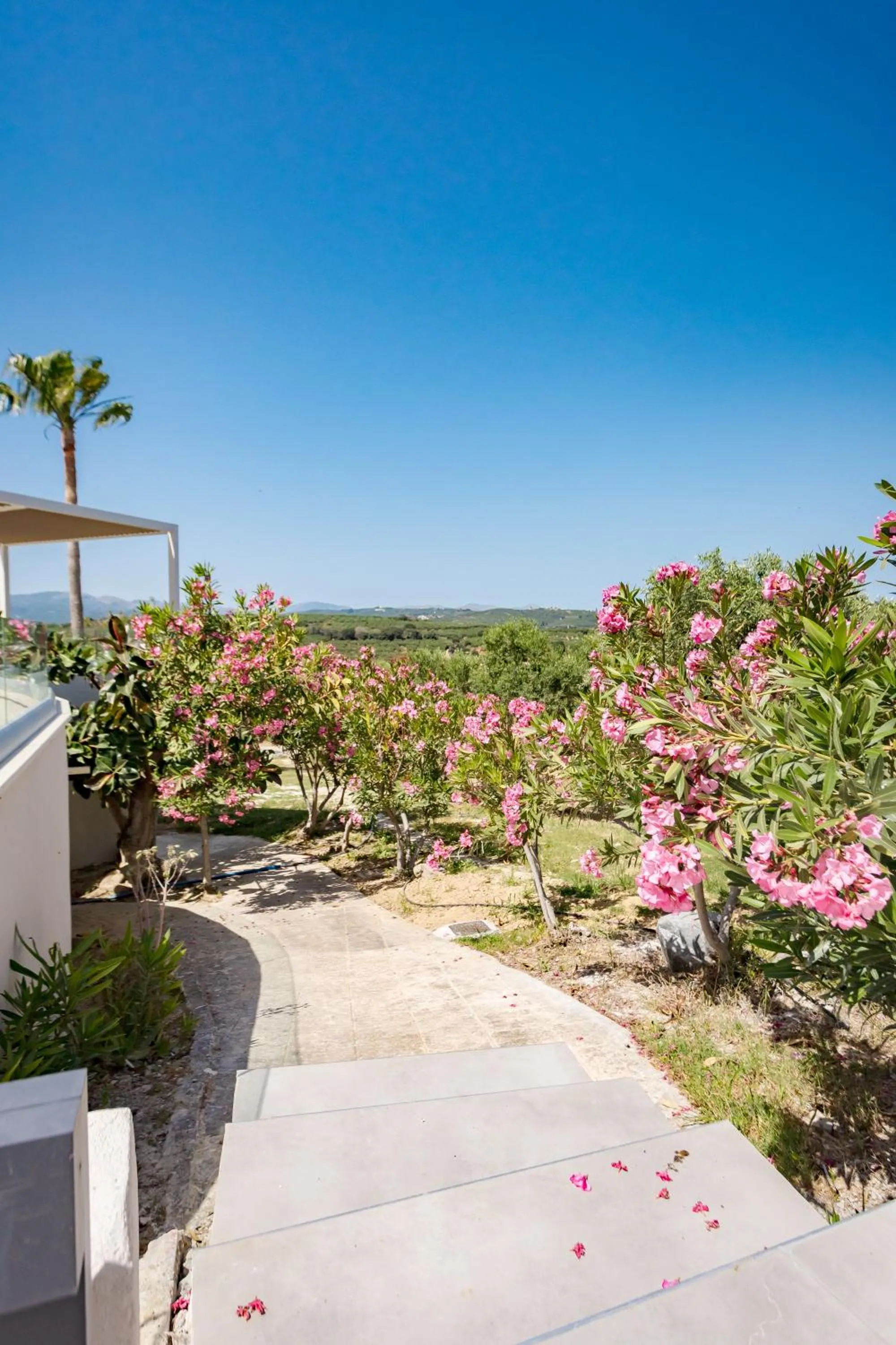 Spring in Rose of Crete