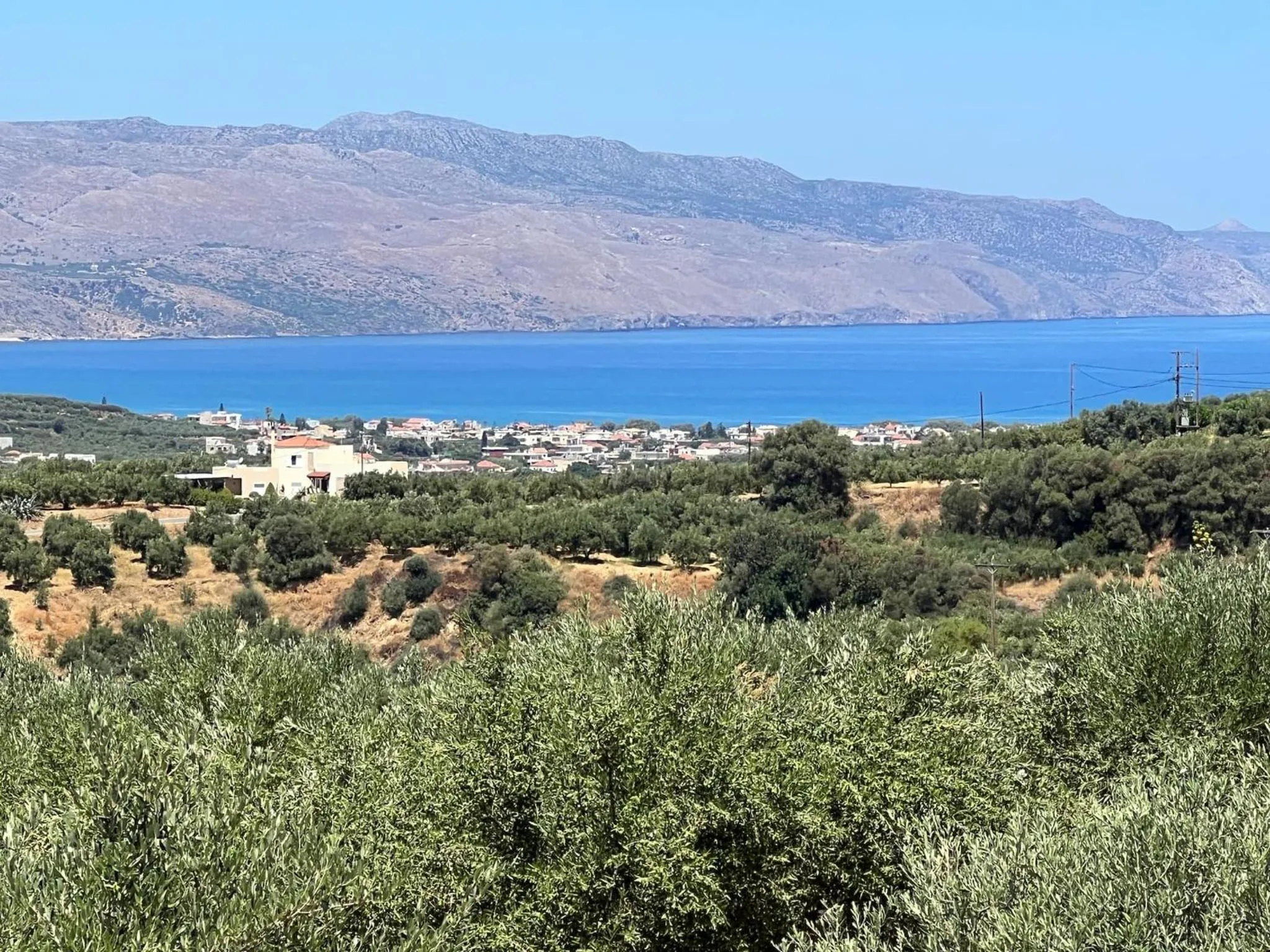 Other in Rose of Crete