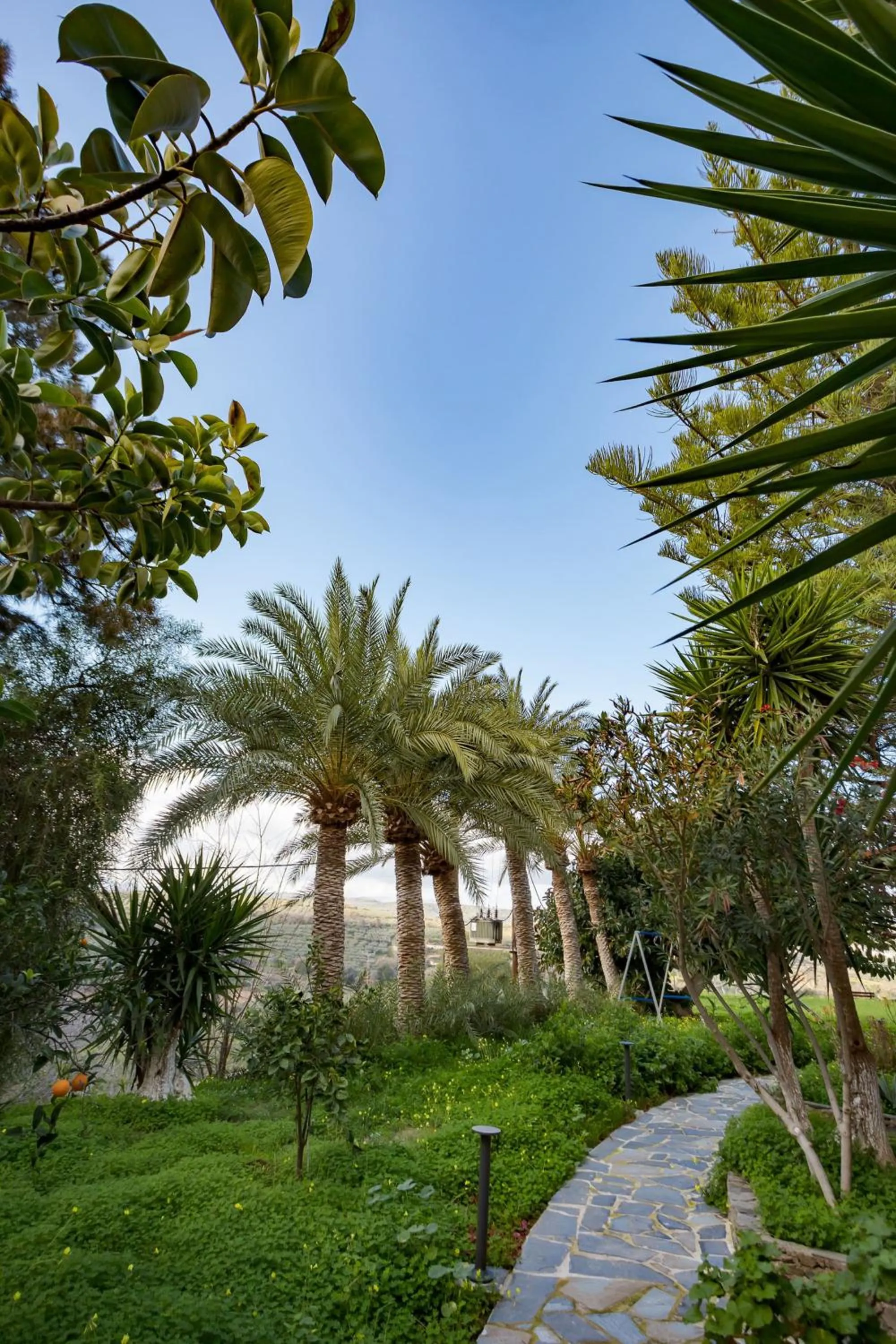 Off site in Rose of Crete