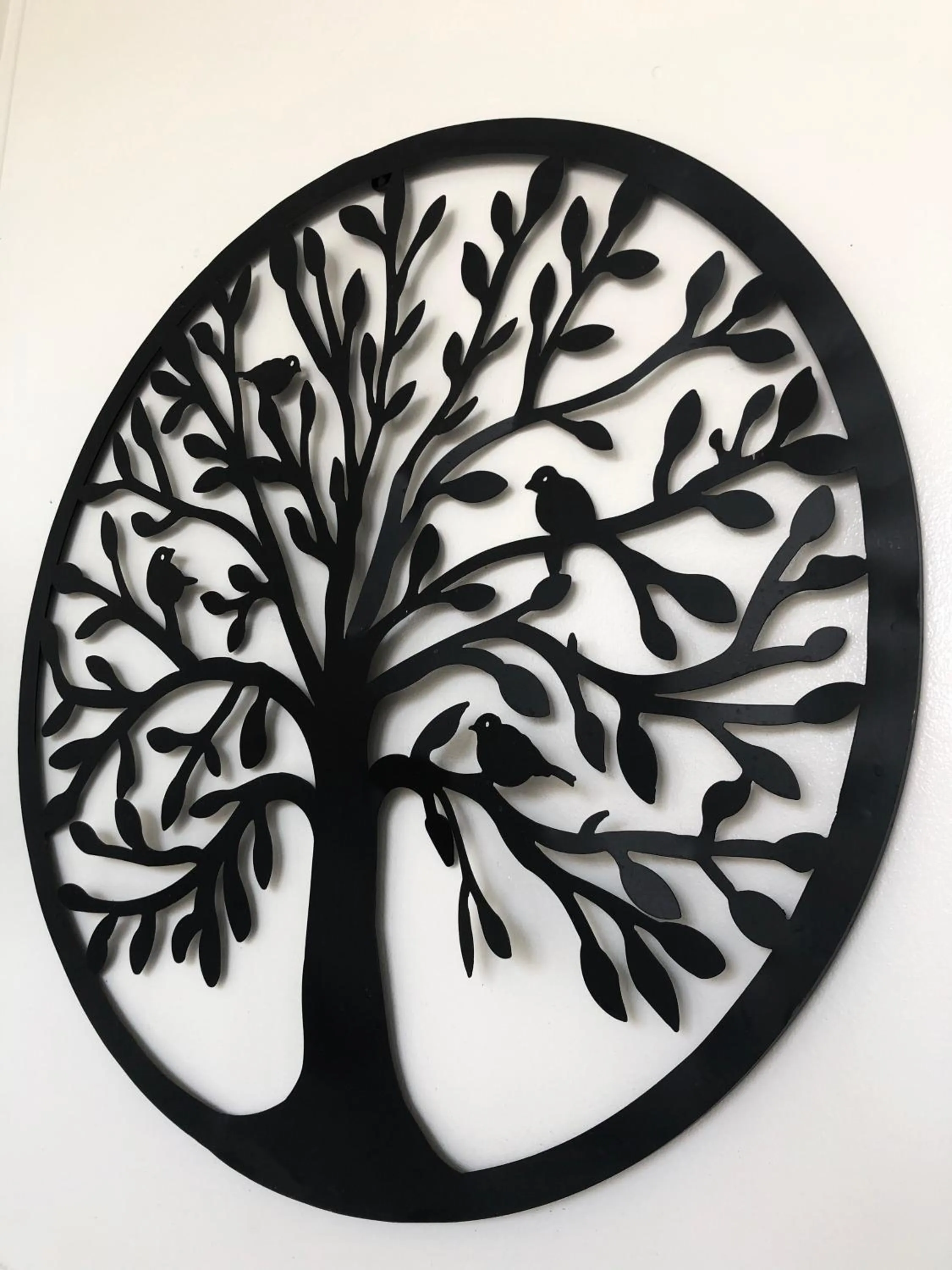 Garden in Hacienda Motor Lodge