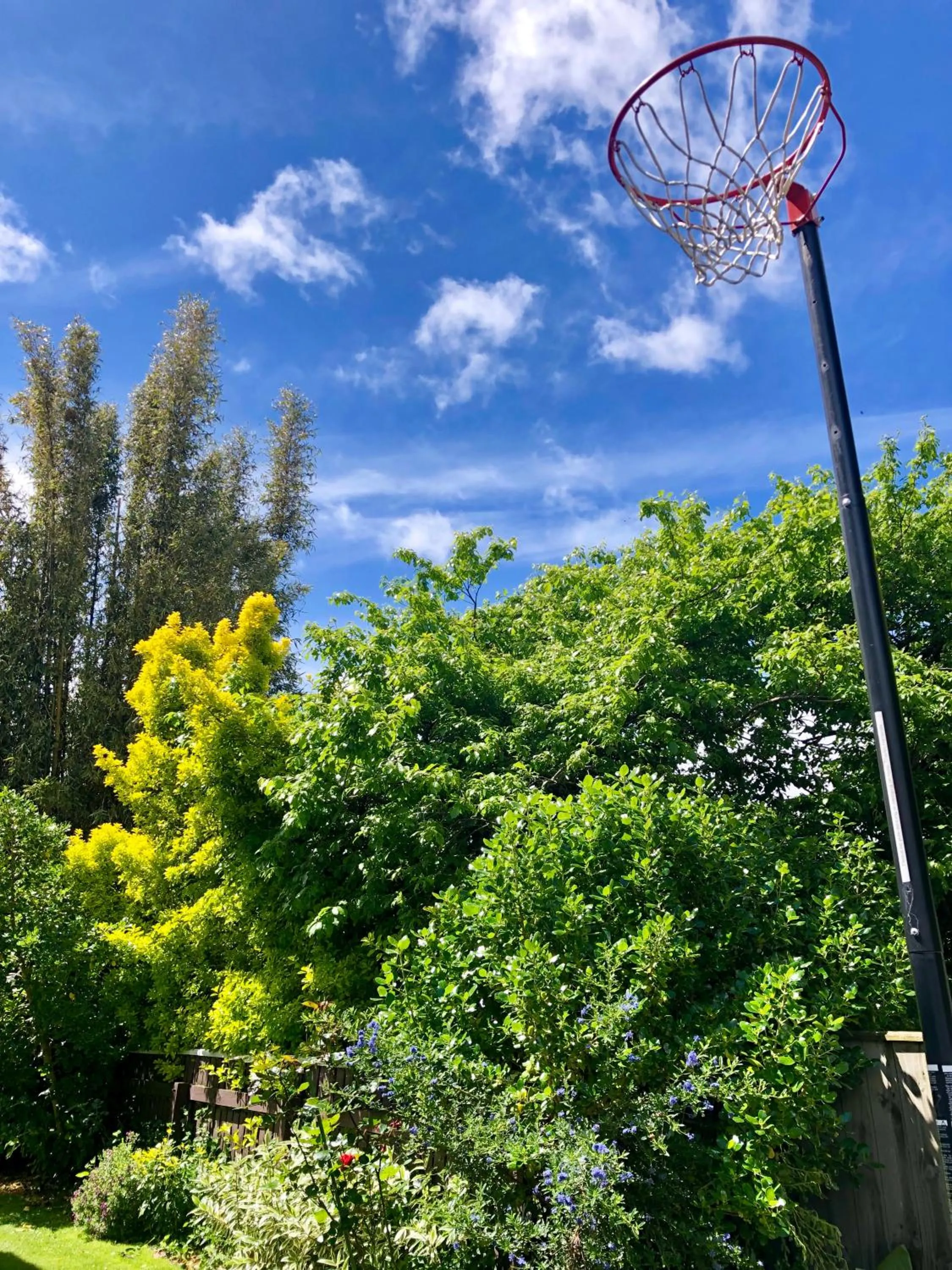 Garden in Hacienda Motor Lodge