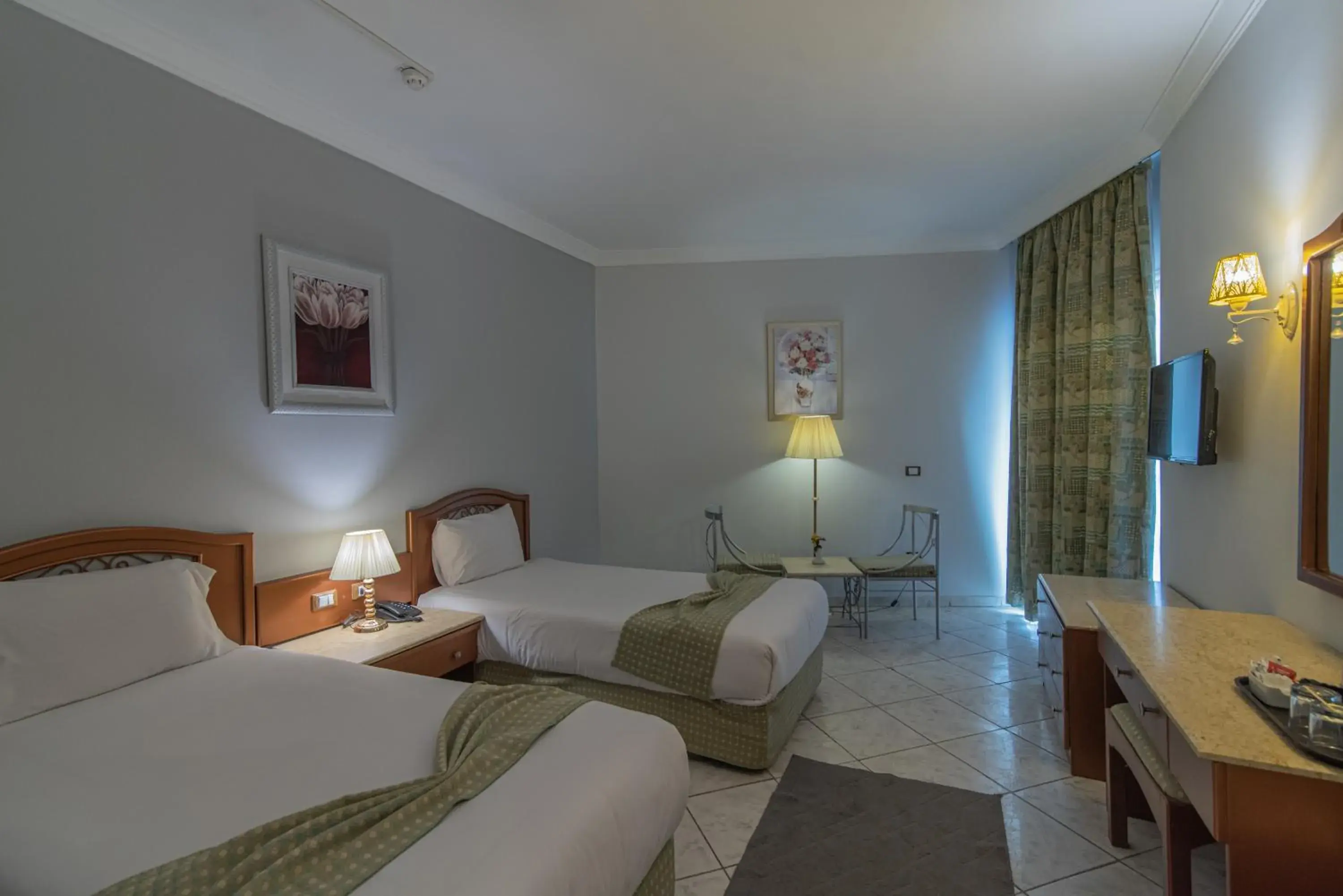 Standard Double Room - single occupancy in Dexon Roma Hotel Standard Double Room - single occupancy in Dexon Roma Hotel