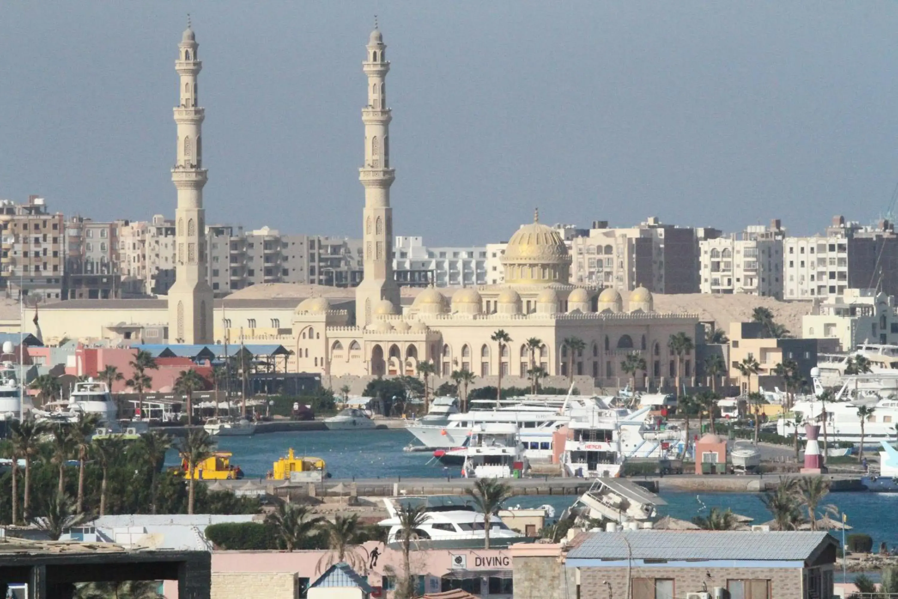 Standard Double Room - single occupancy in Dexon Roma Hotel Standard Double Room - single occupancy in Dexon Roma Hotel