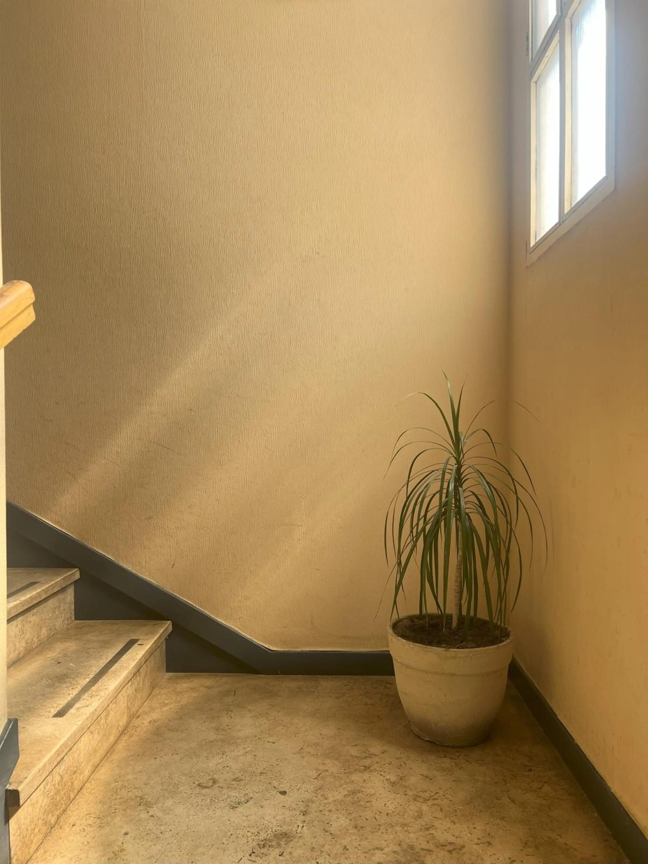 Property building in Hotel Dali