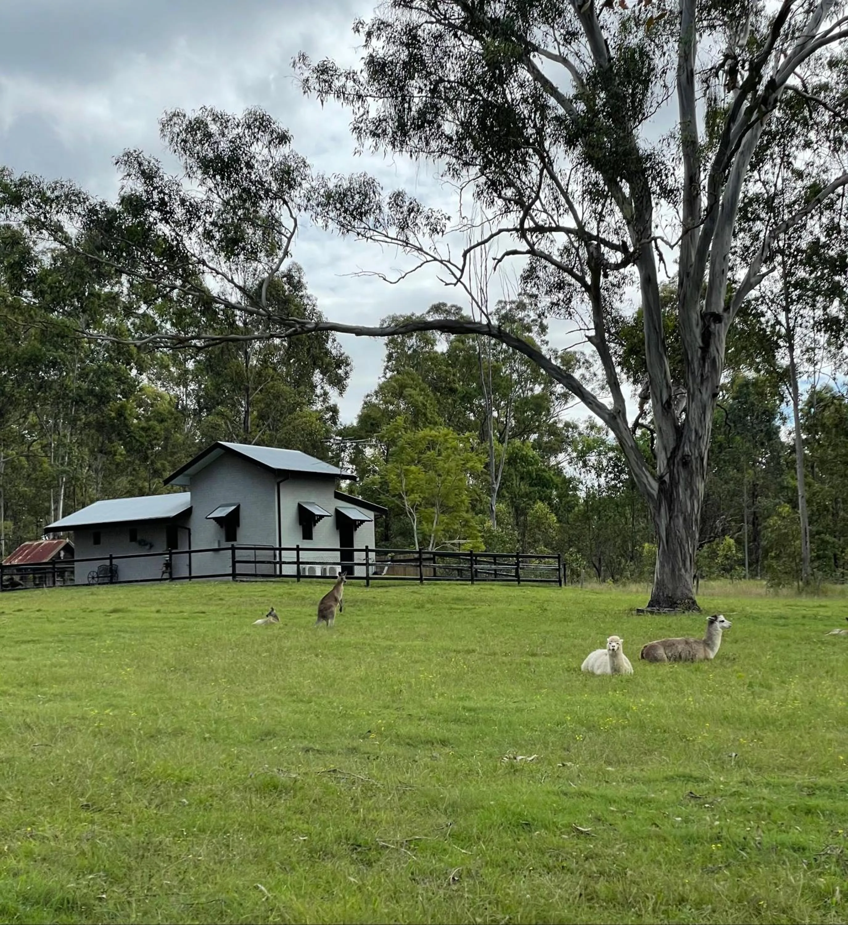 Belvoir B&B Cottages