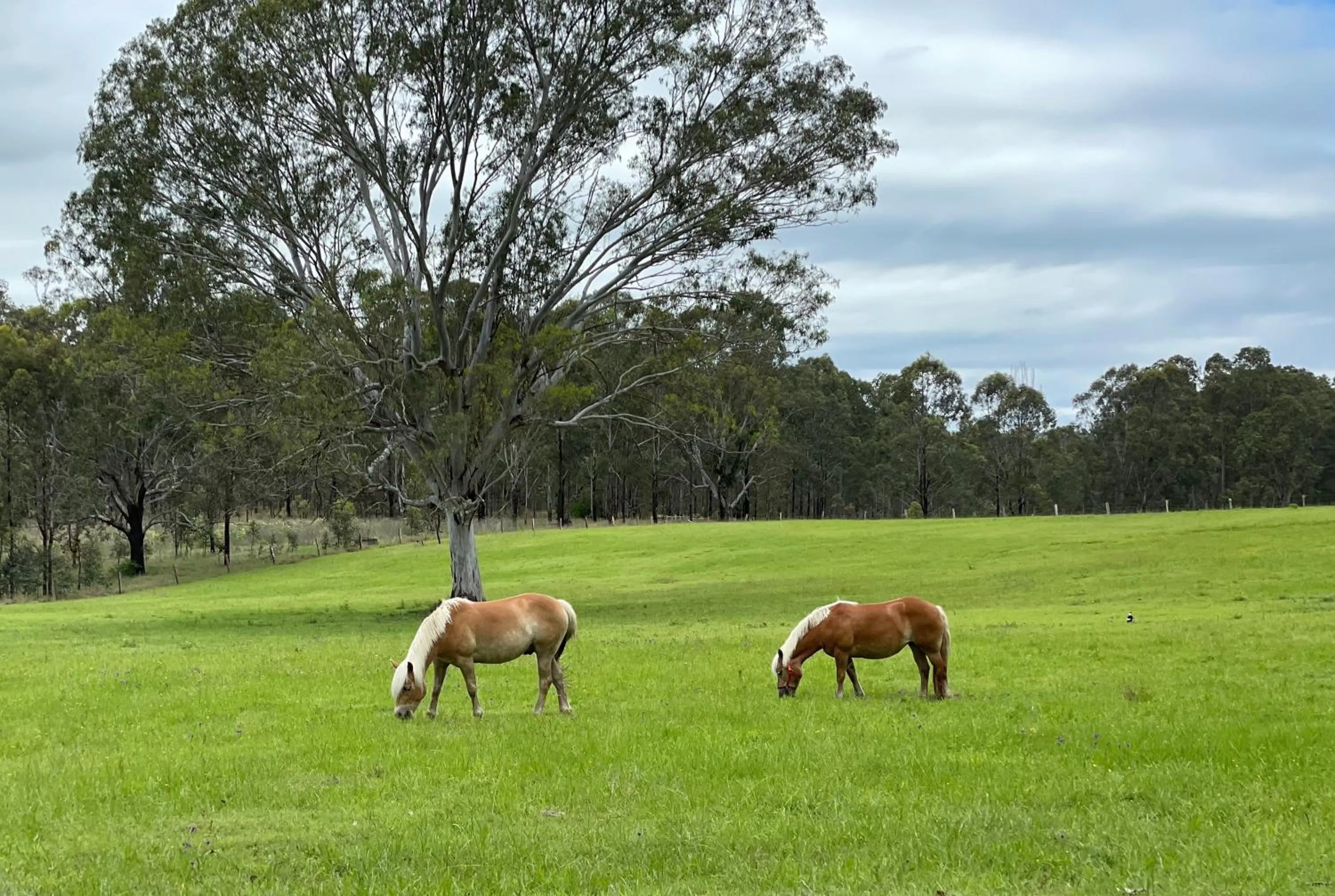 Belvoir B&B Cottages