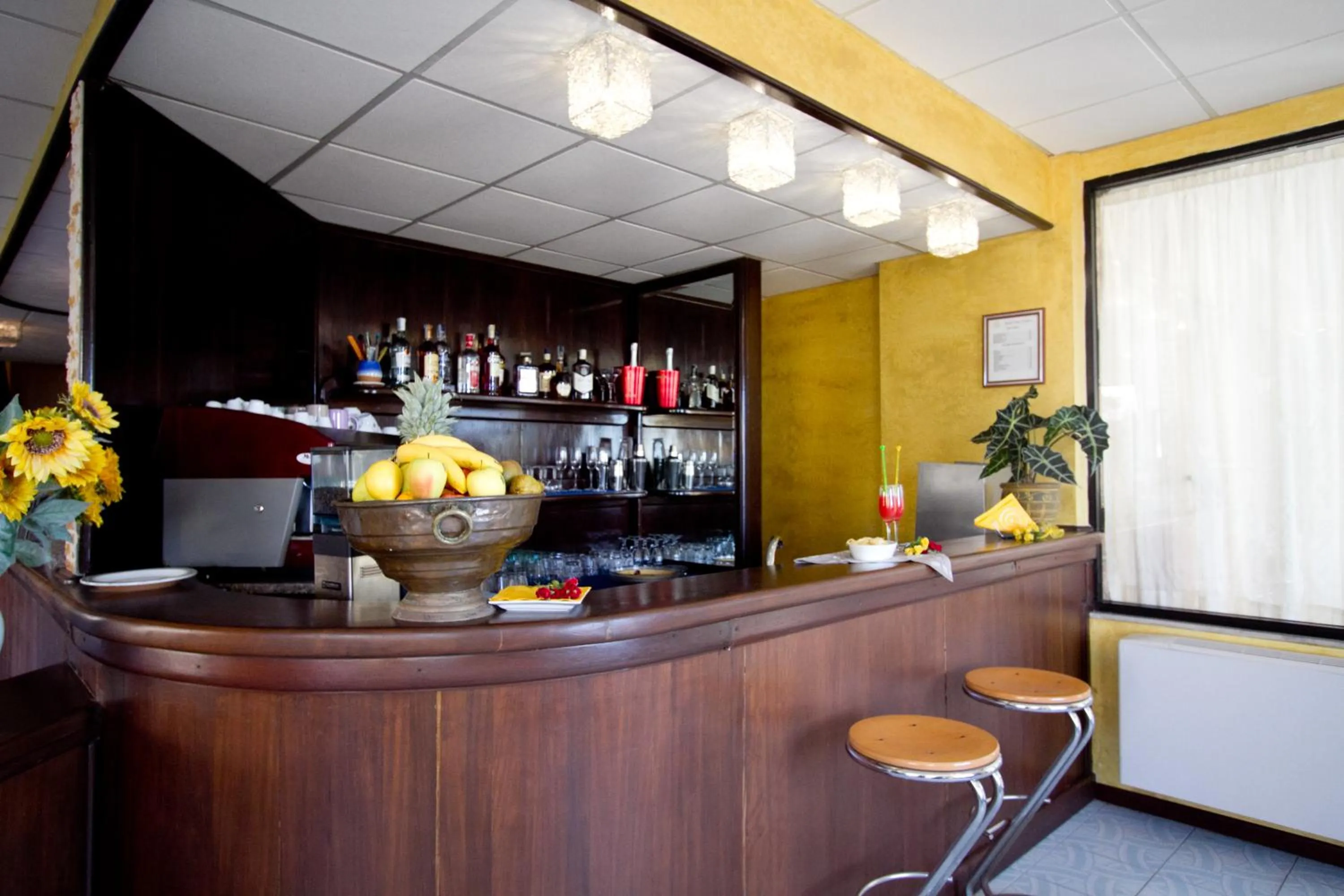 Lounge or bar in Hotel Don Pedro