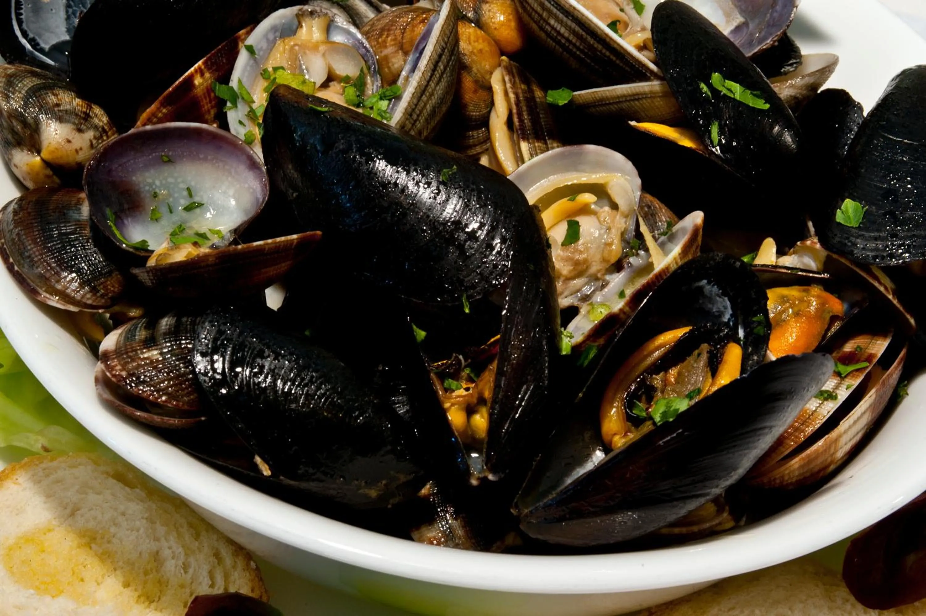 Restaurant/places to eat in Hotel Brancamaria