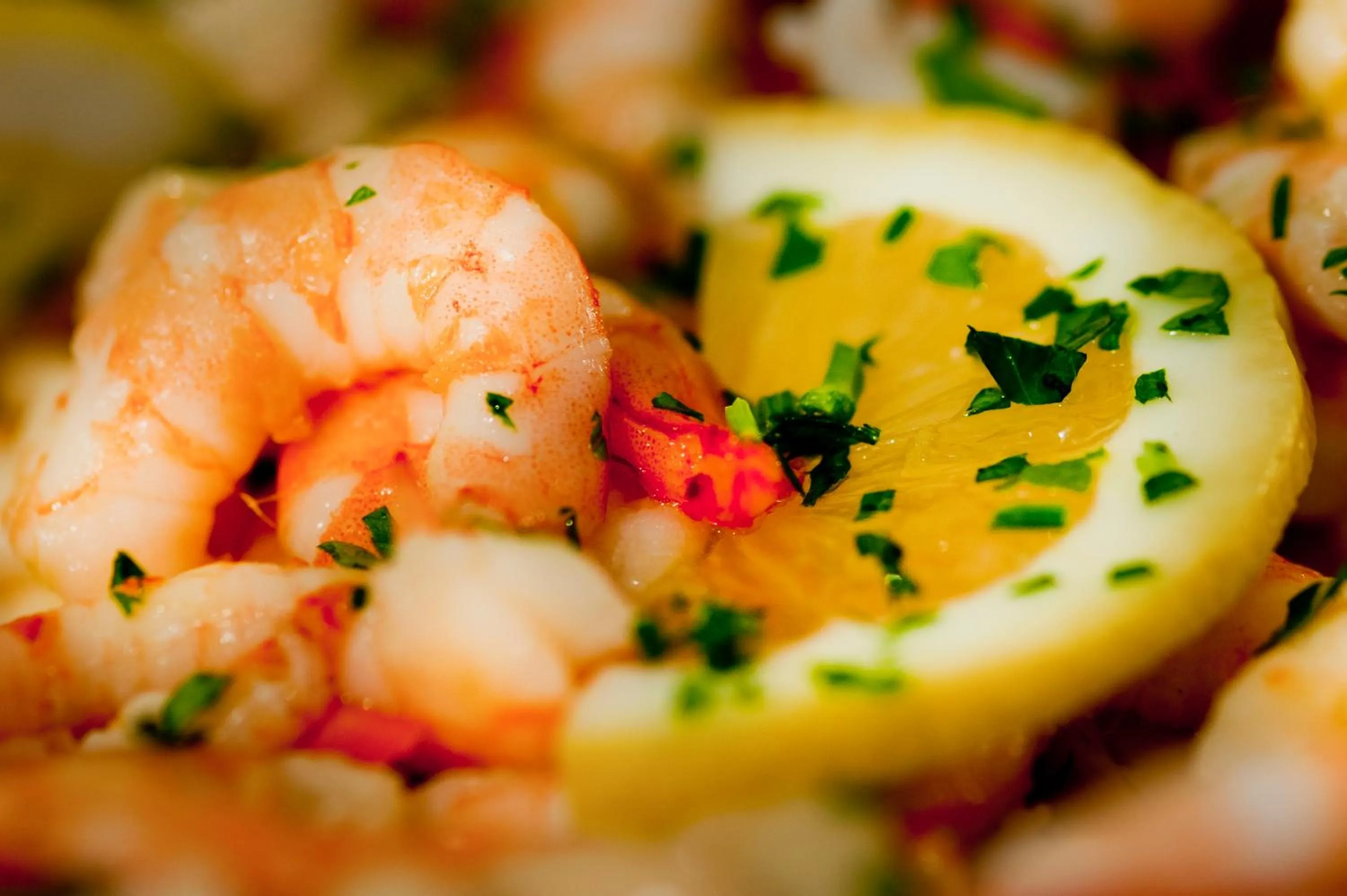 Restaurant/places to eat in Hotel Brancamaria