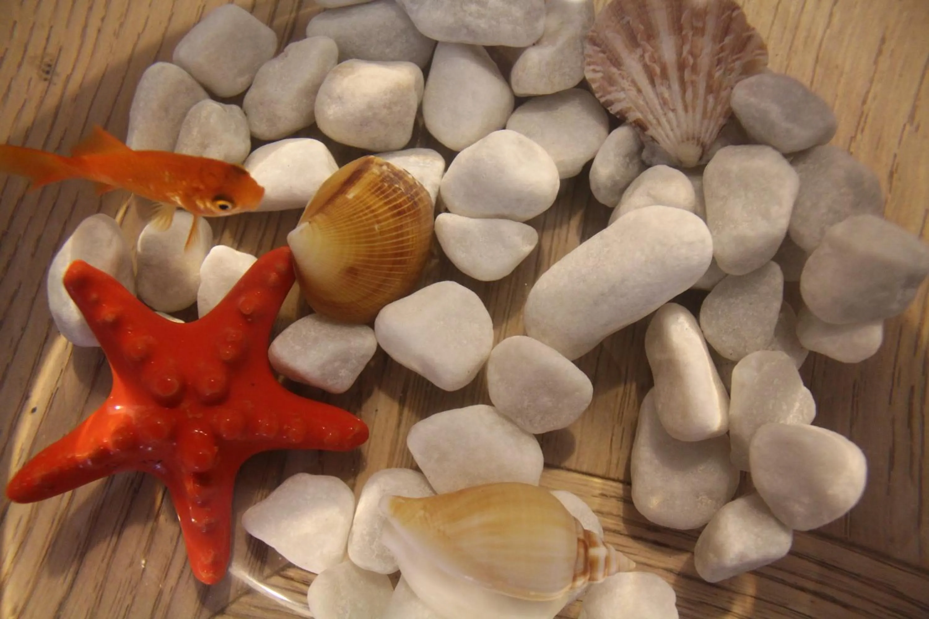 Lobby or reception in Nichotel