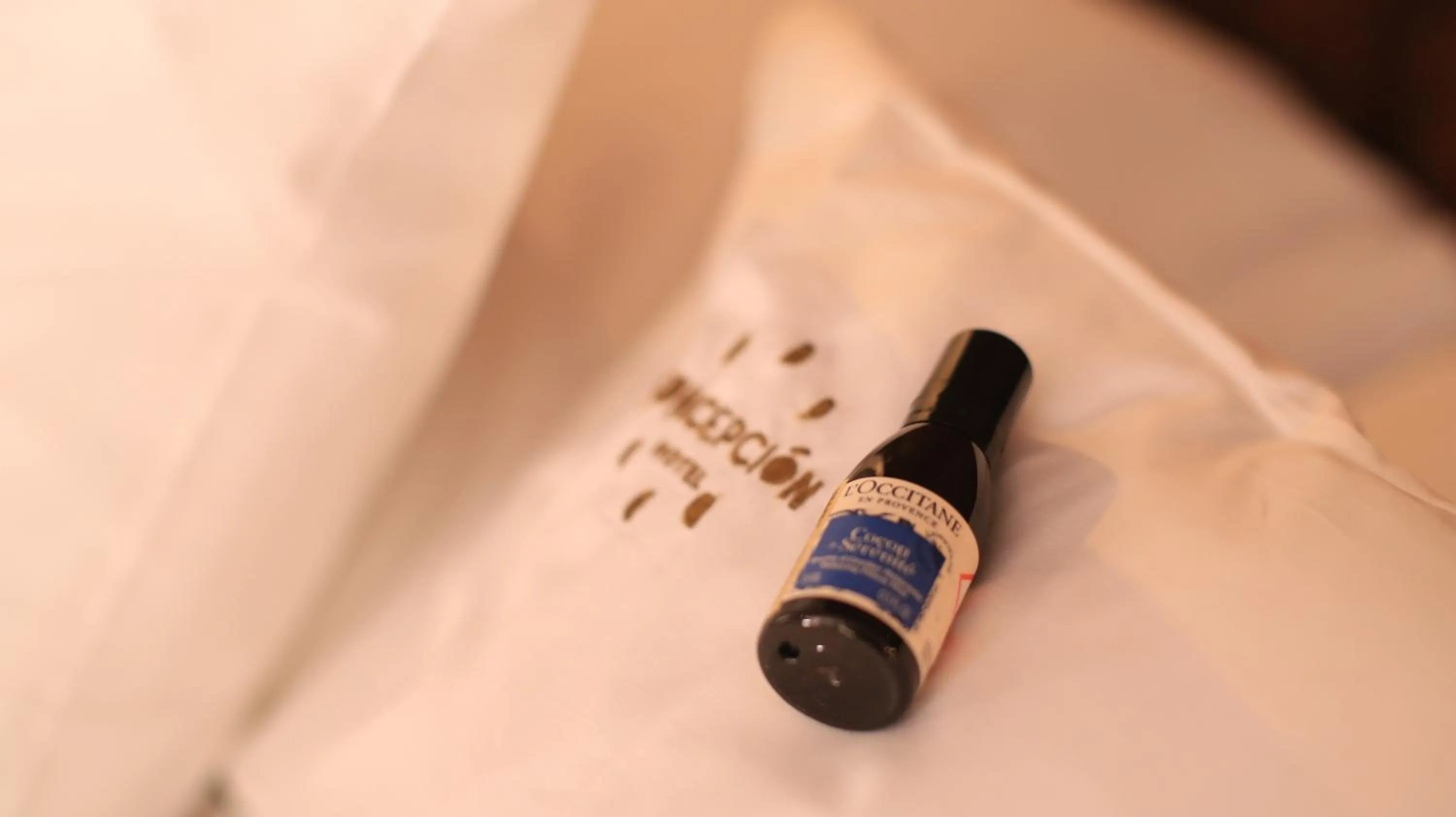 Other in Concepción Hotel Boutique - Adults Only