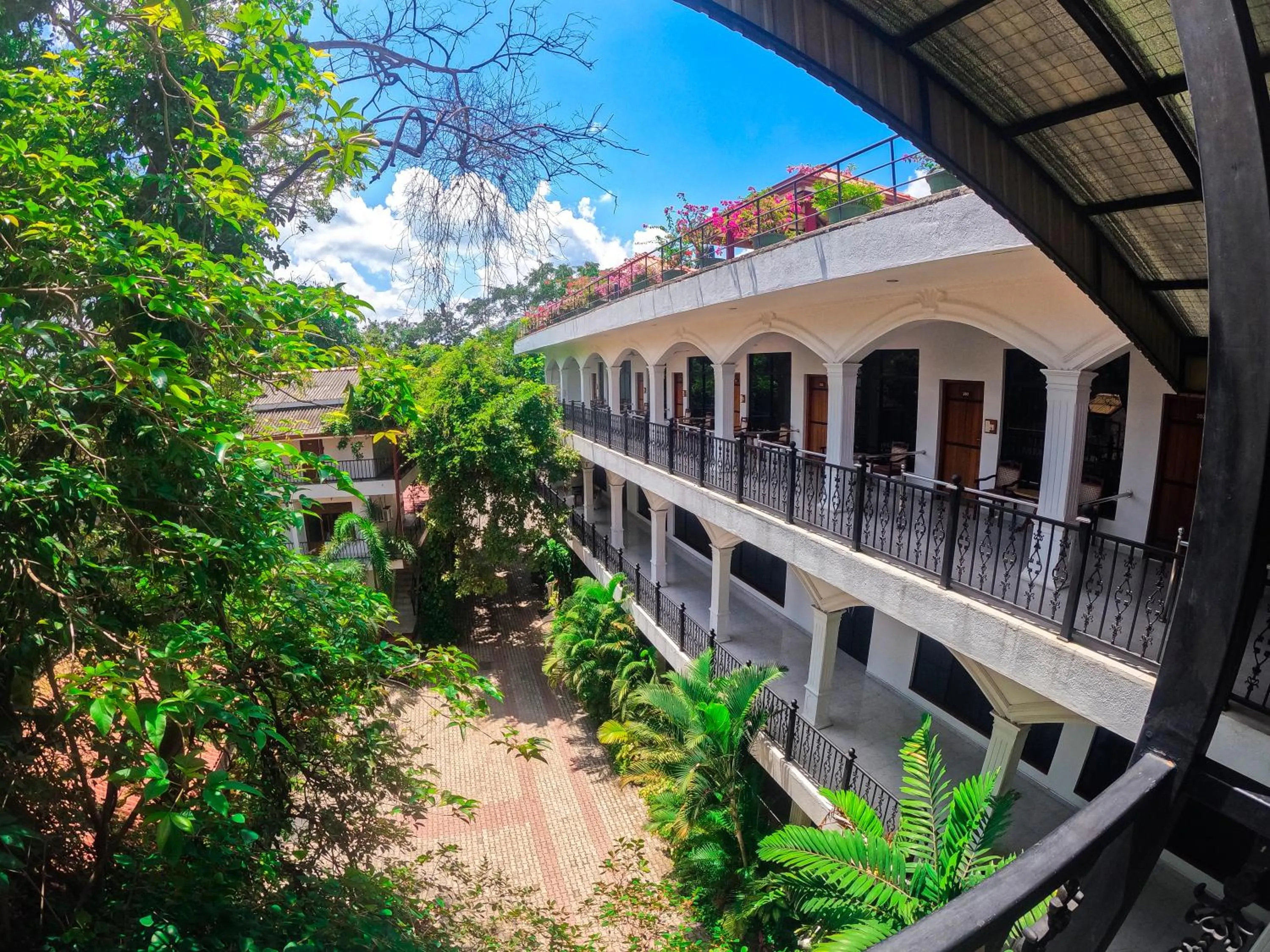Spring in Centauria City Hotel